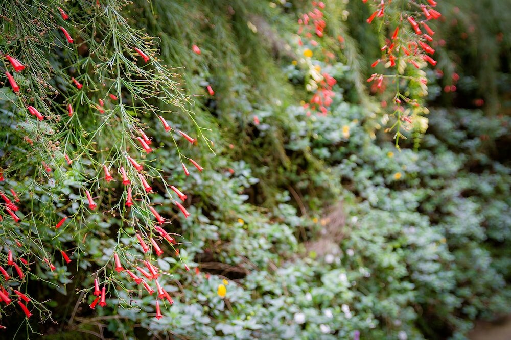Фото Imperial Heights Hotel, Entebbe