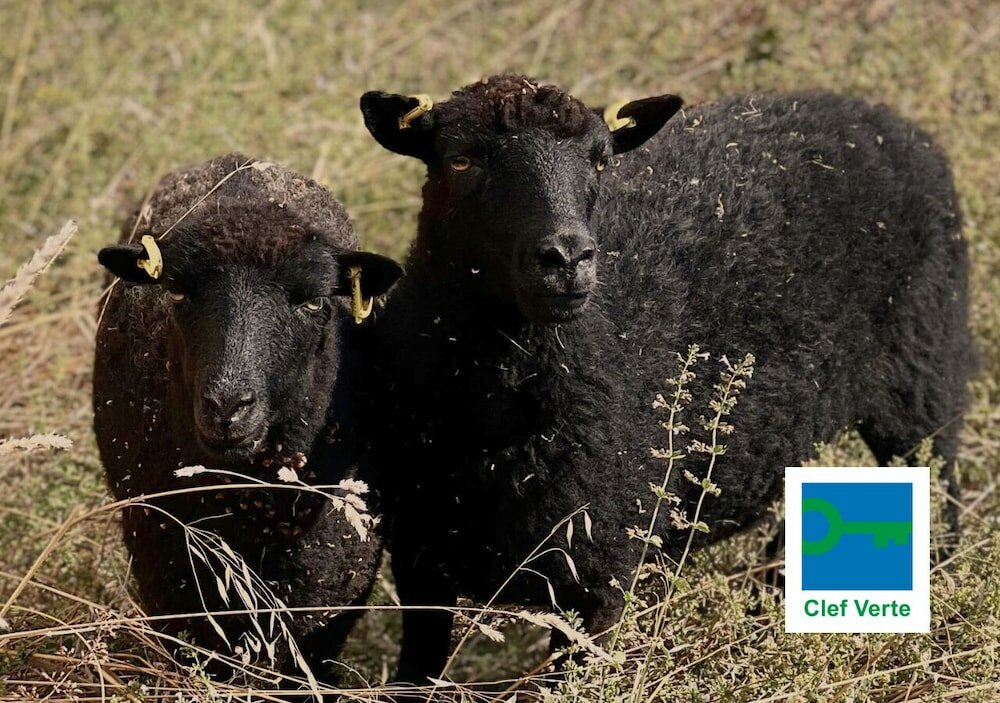 Фото Novotel Lyon Bron Eurexpo