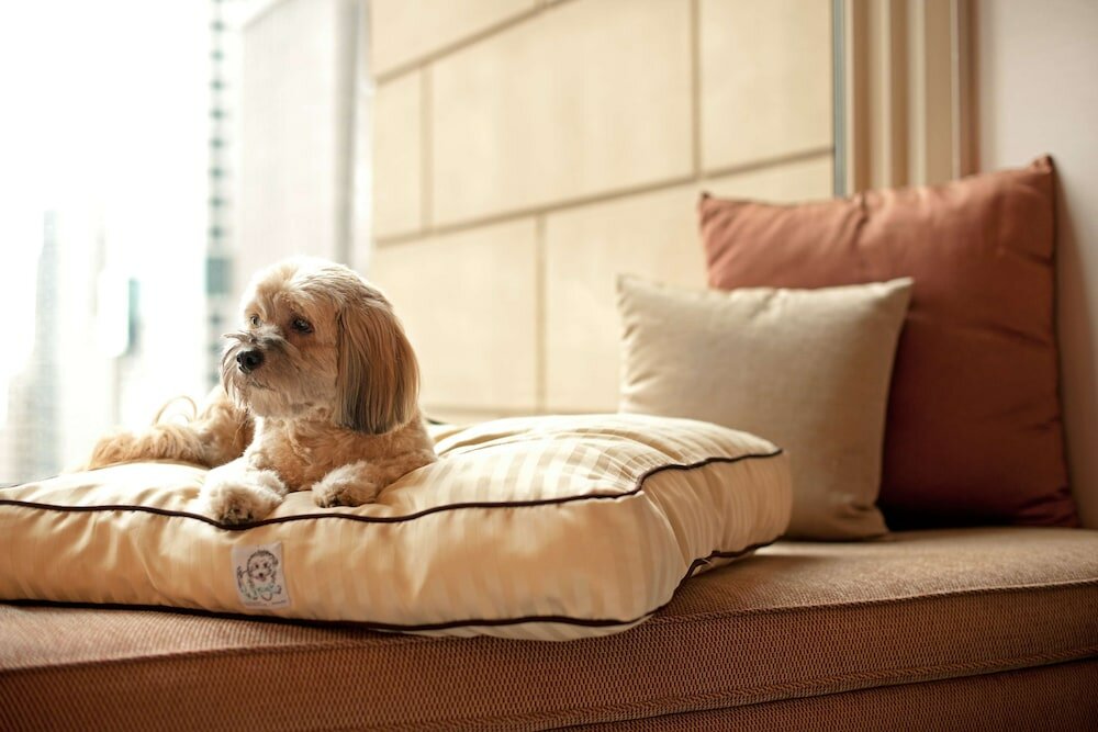 Фото Grand Hyatt Sao Paulo