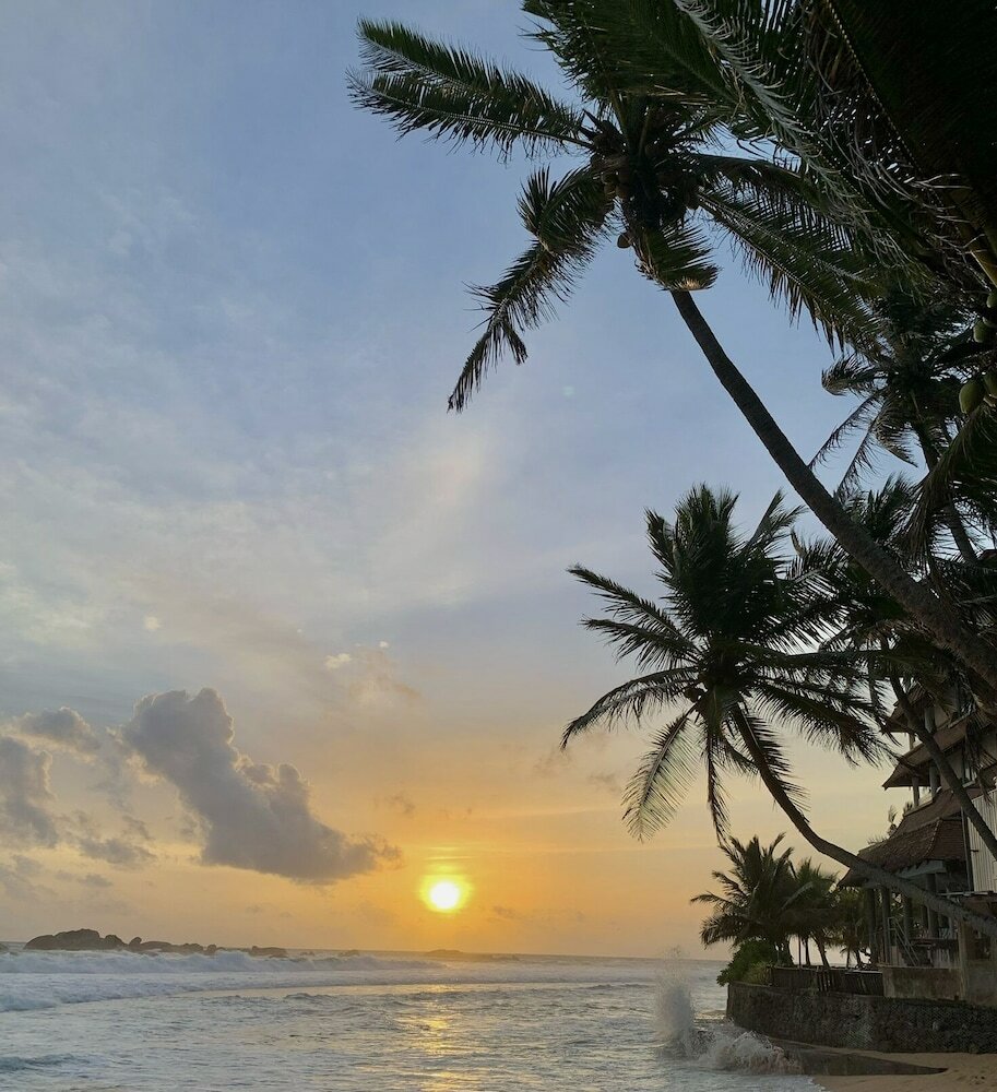 Фото Curry Bowl Restaurant & Turtles Rest