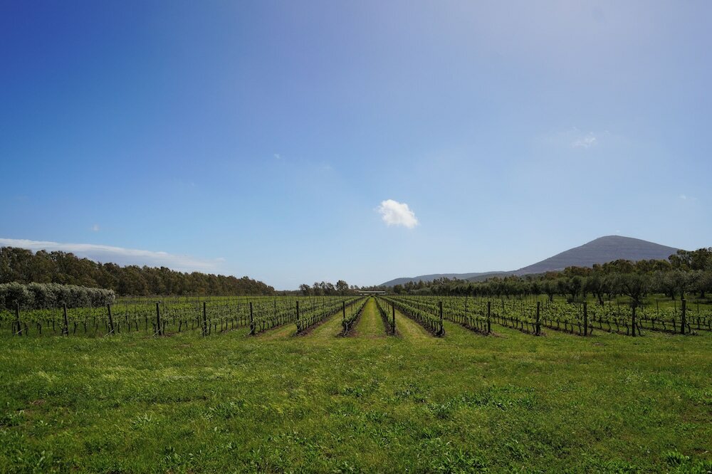 Фото Agriturismo Casale degli Ulivi