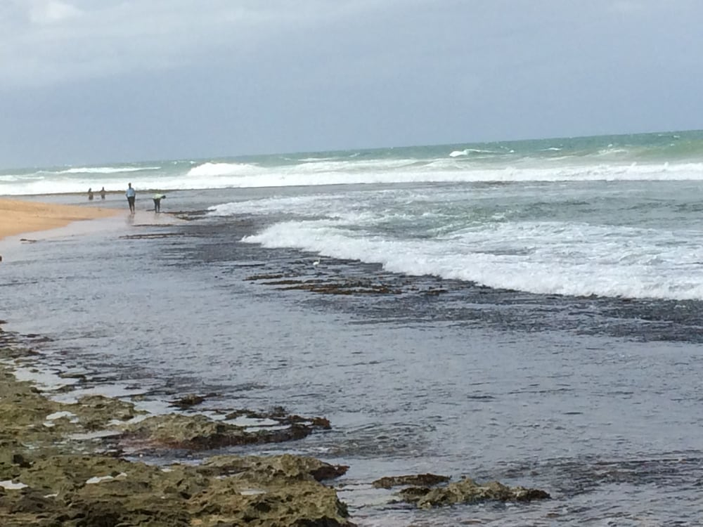 Фото Curry Bowl Restaurant & Turtles Rest