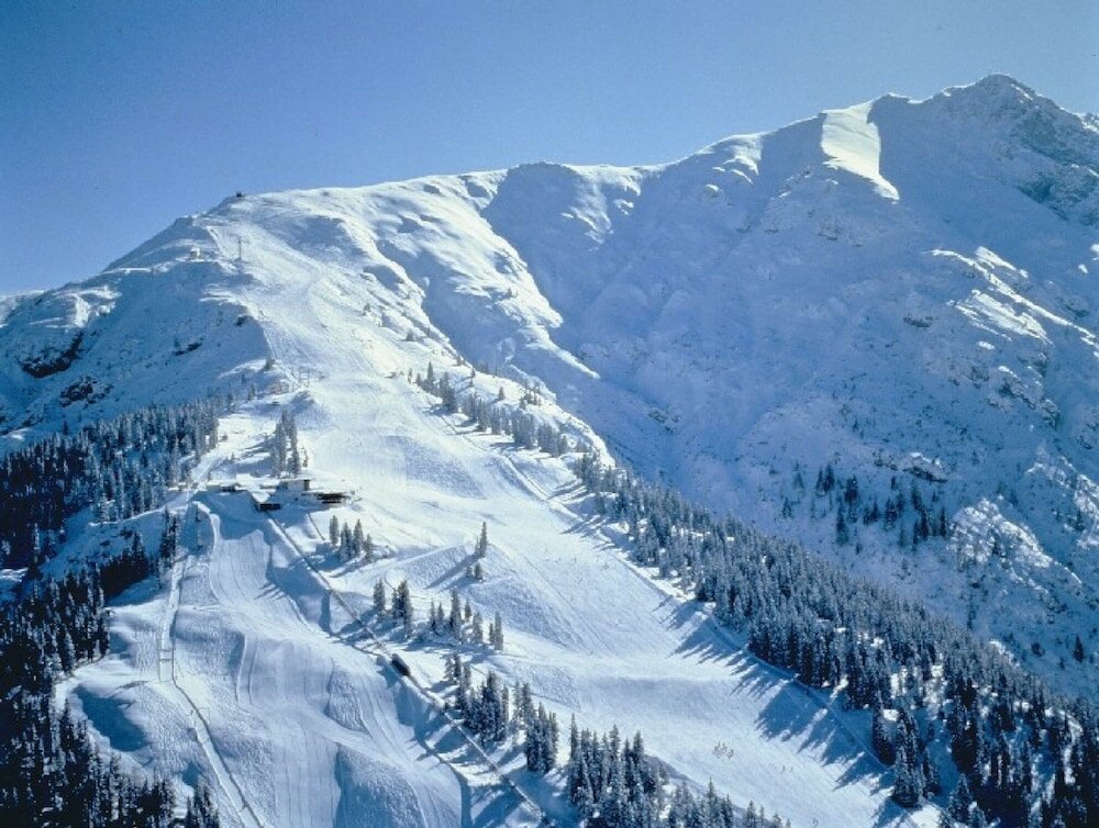 Фото Hotel Schönegg