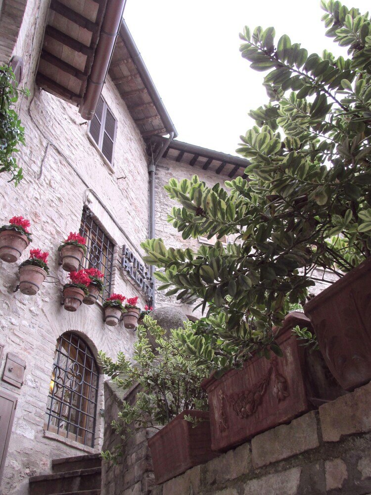 Фото Hotel Pallotta Assisi