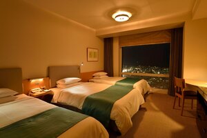 Гостиница Hotel Nikko Niigata