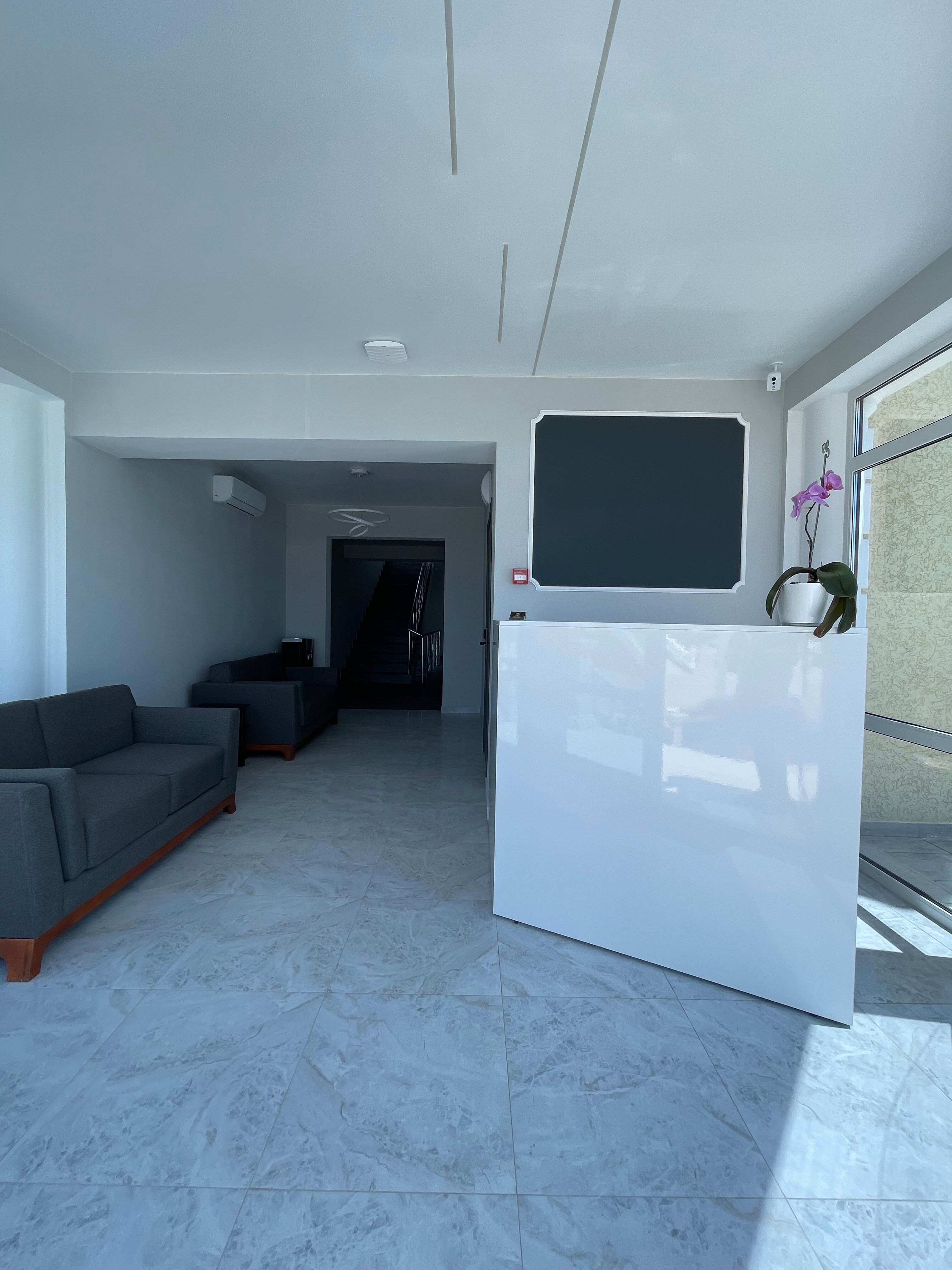 Фото Меморис