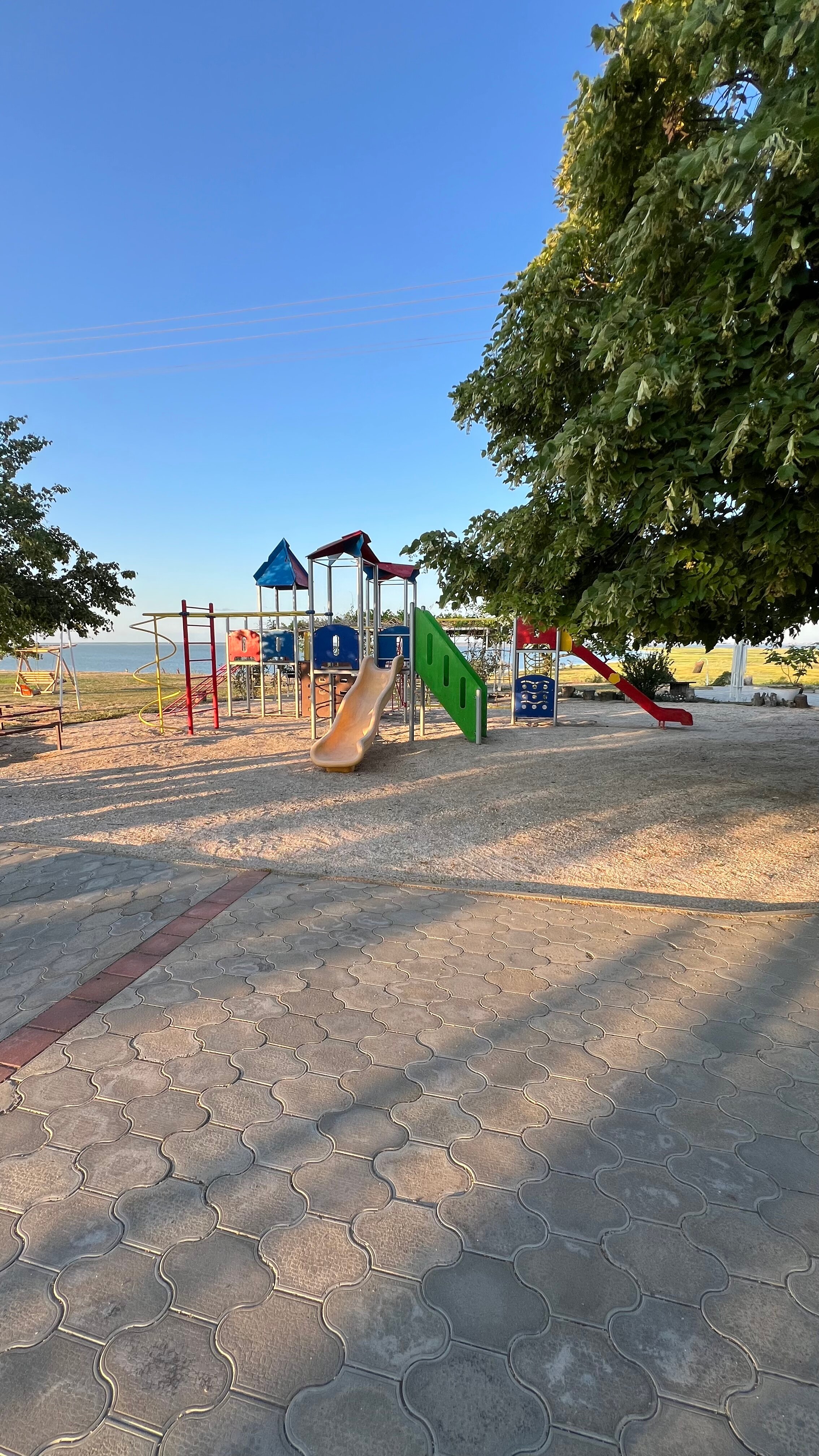 Фото Альбатрос