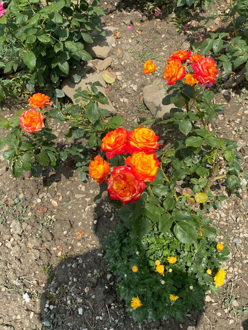 Фото Морской