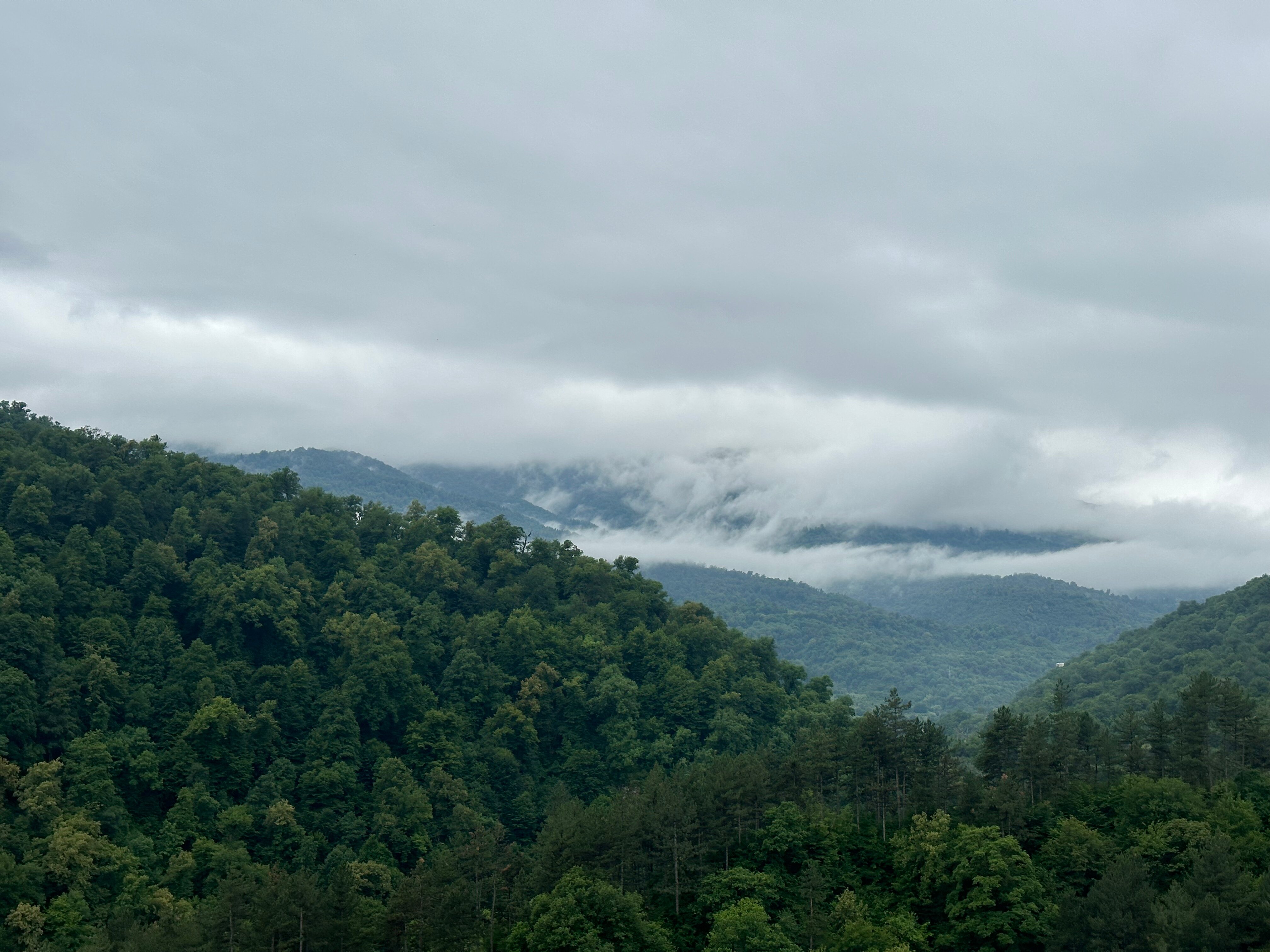 Фото RestArt Boutique Hotel