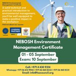 International Hse Council (2F, Abraj Al Mina Street, Community Jabal Ali 1, Jebel Ali, Dubai), business consulting