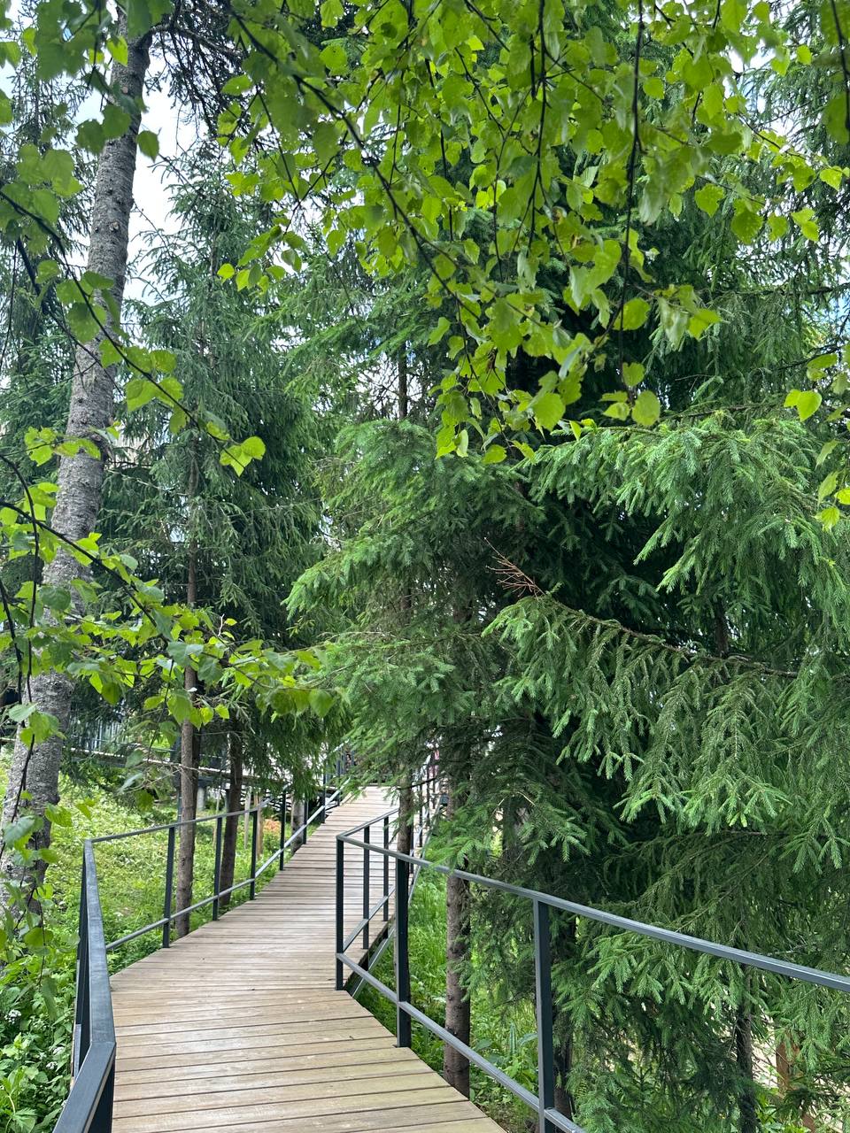 Фото Пижамы