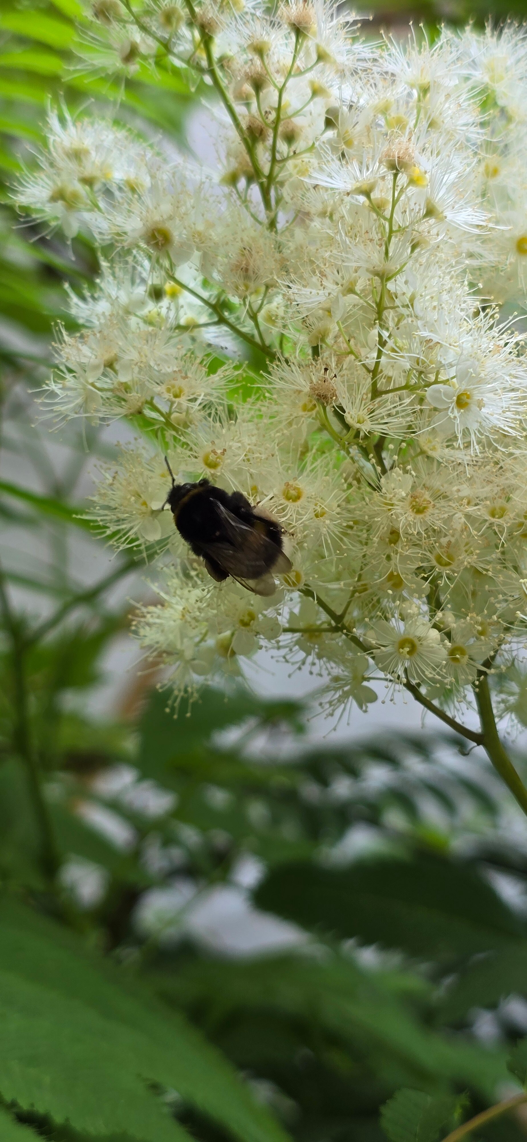 Фото Рихтер