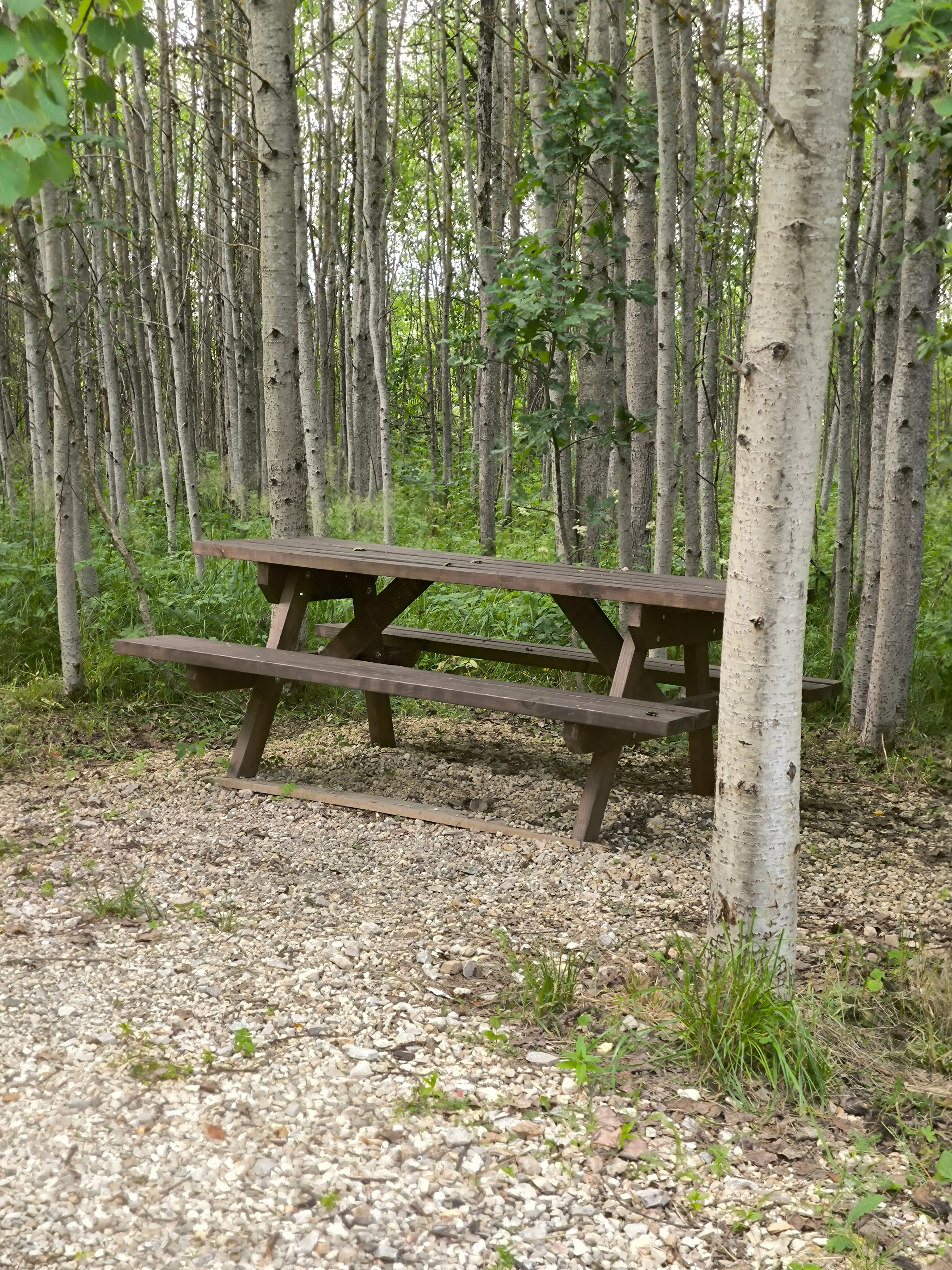 Фото Iliynka Village