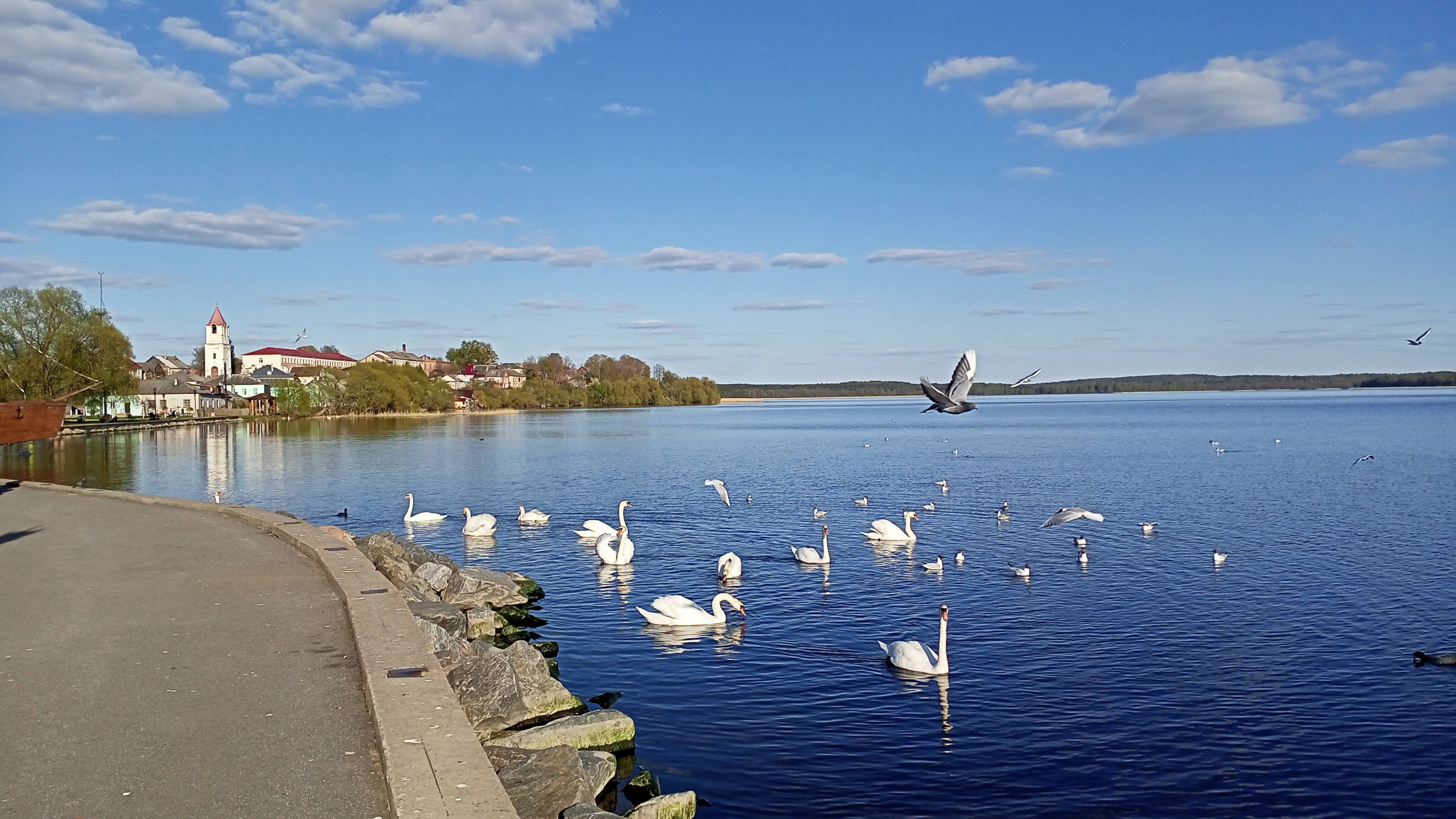 Фото Диалог-Апартаменты