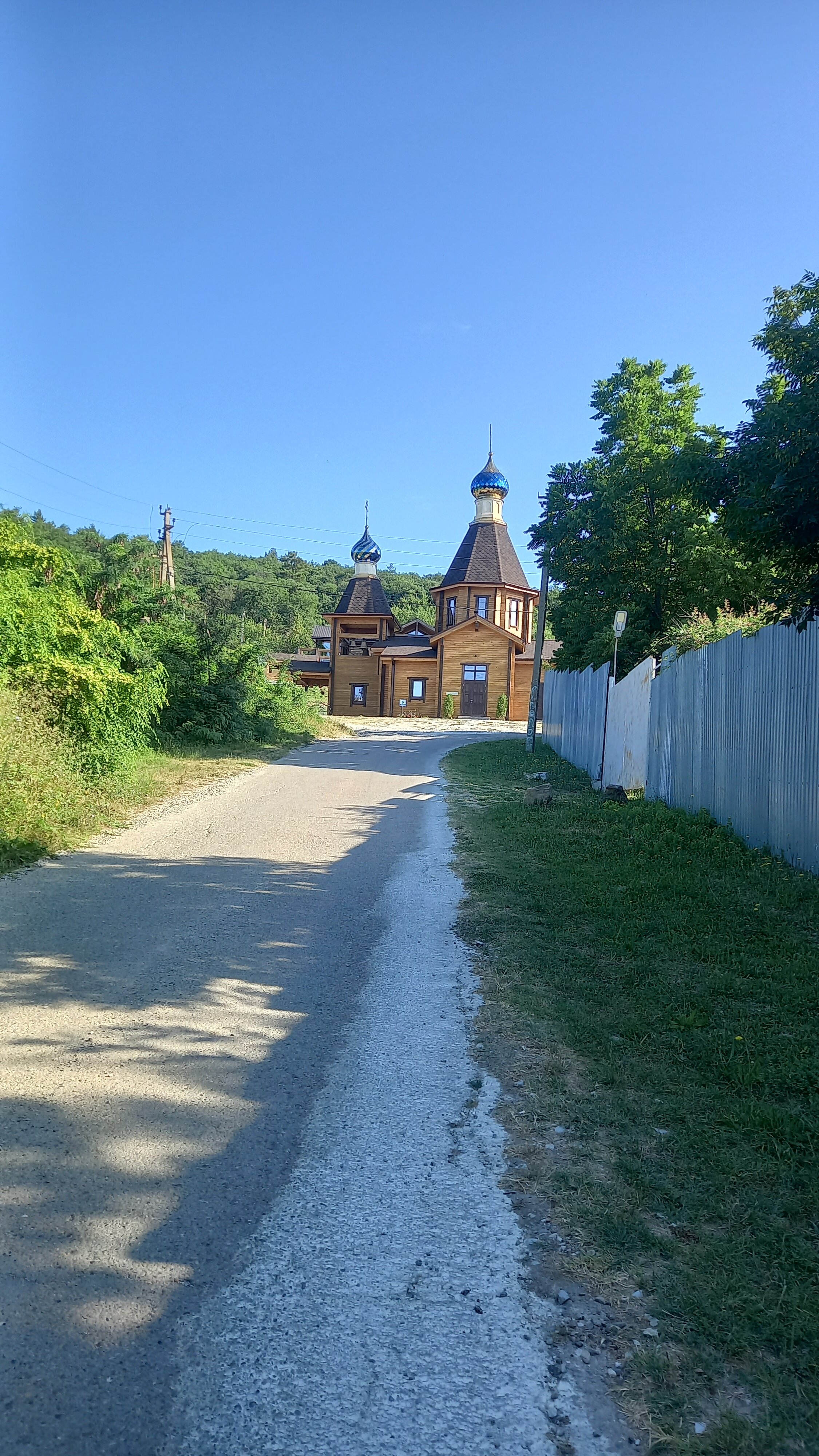 Фото Альбатрос