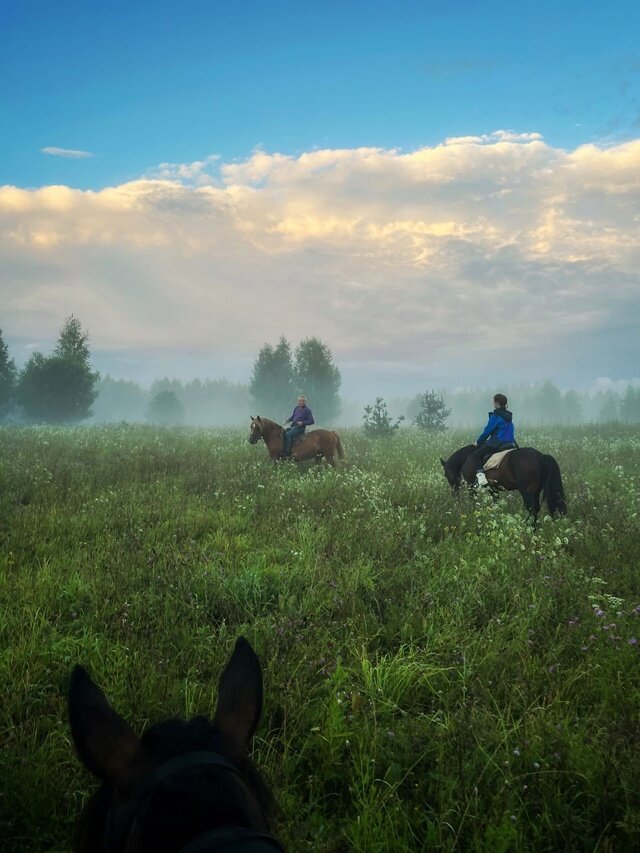 Фото Экопарк Акулово
