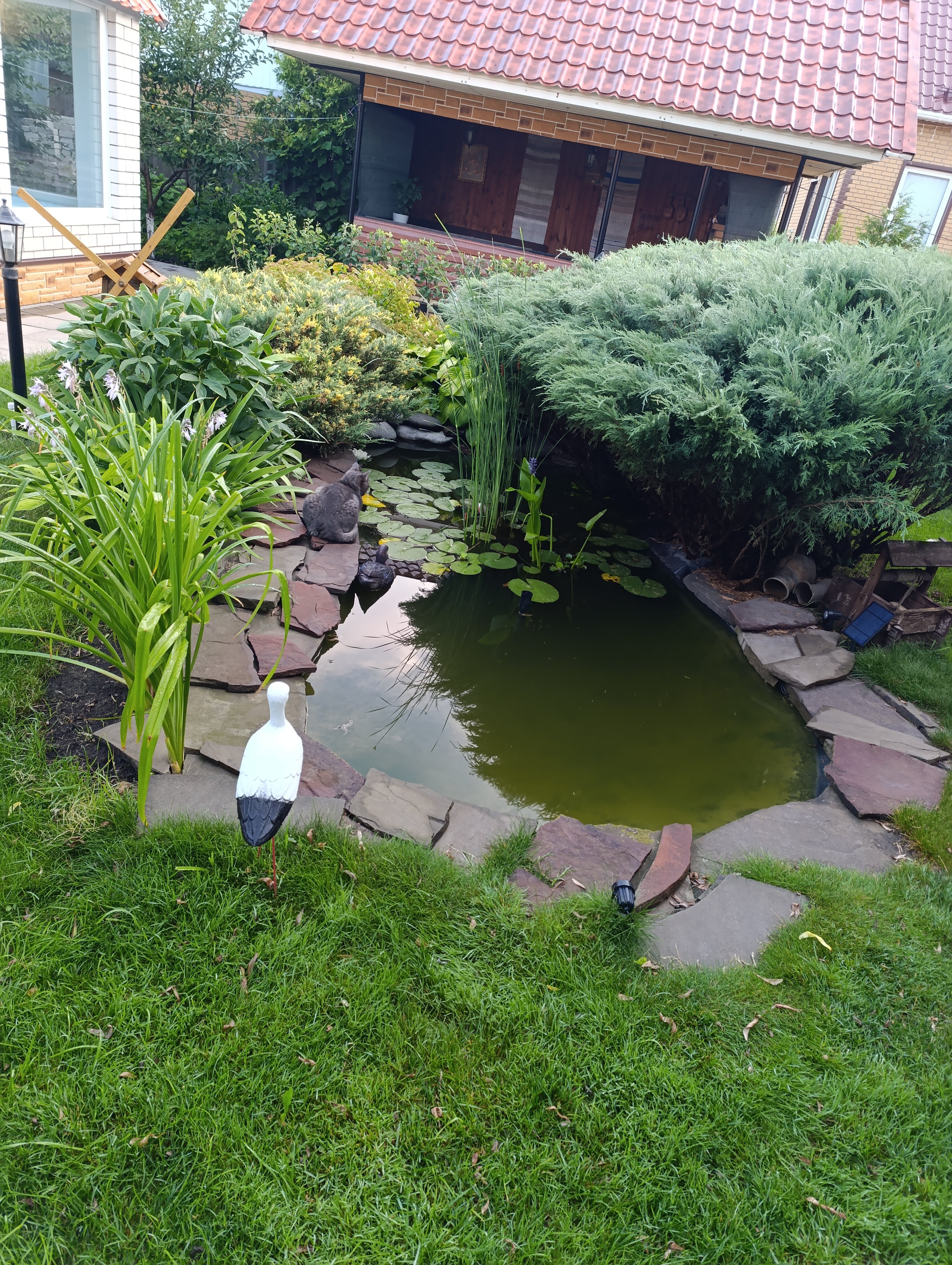 Фото Дворик