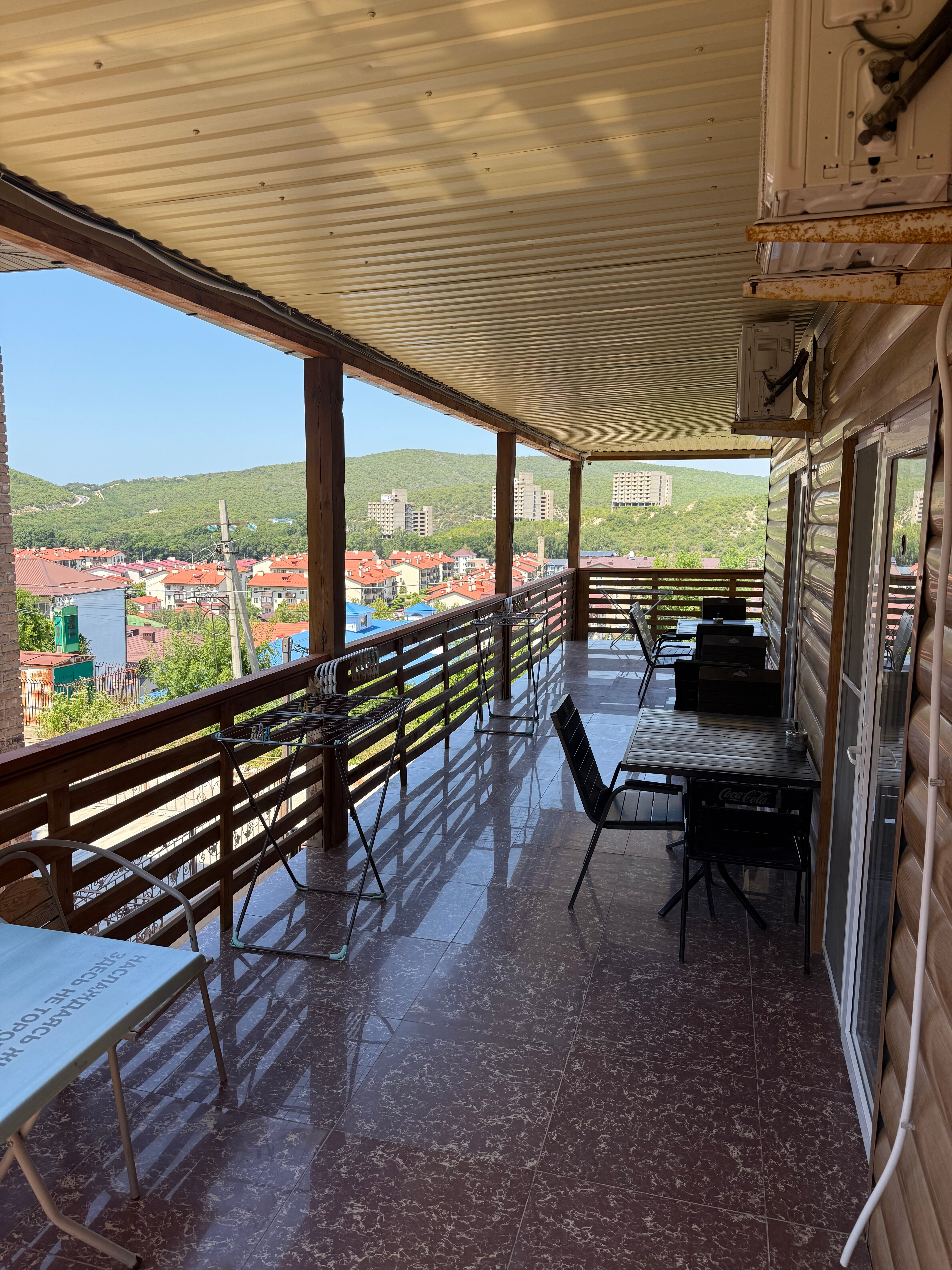 Фото Пальма Финик