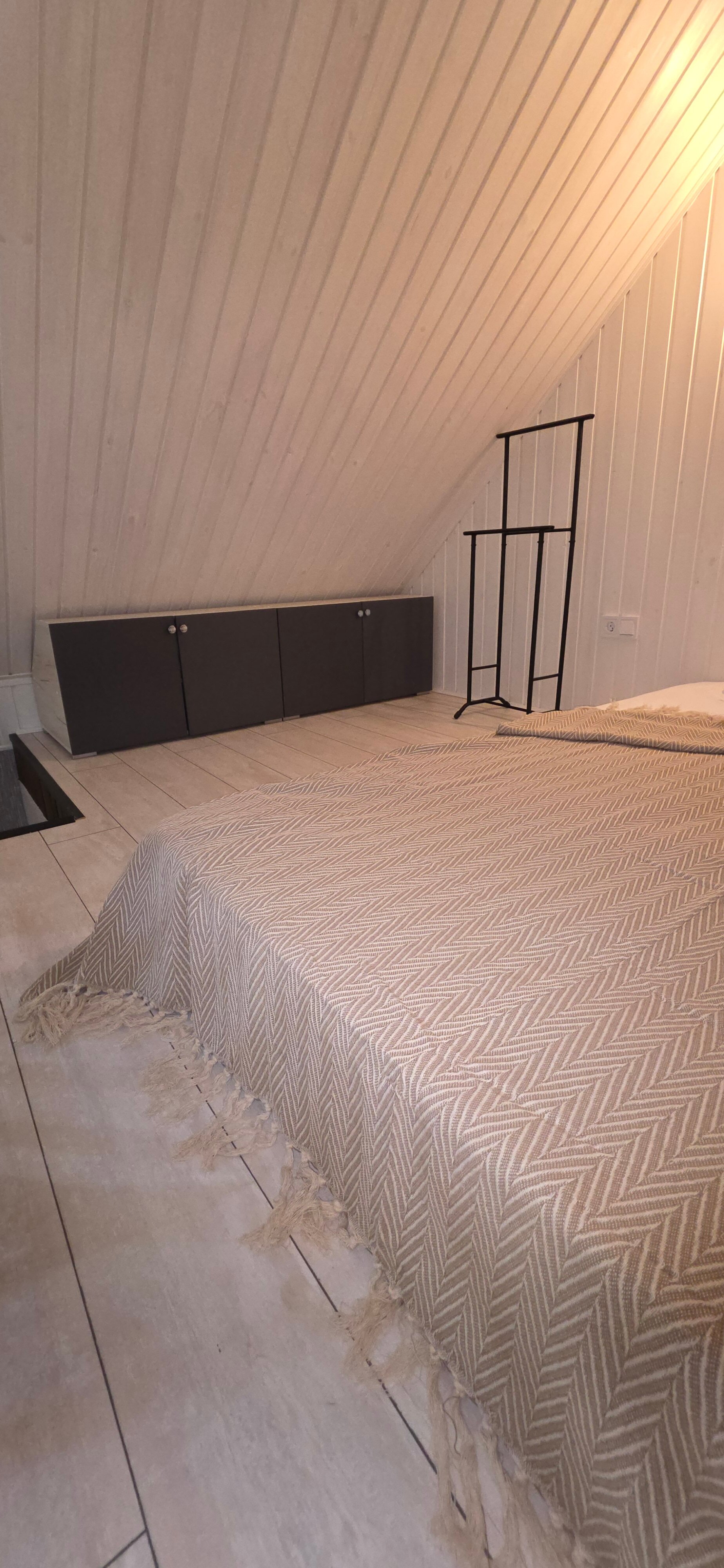 Фото Лаванда