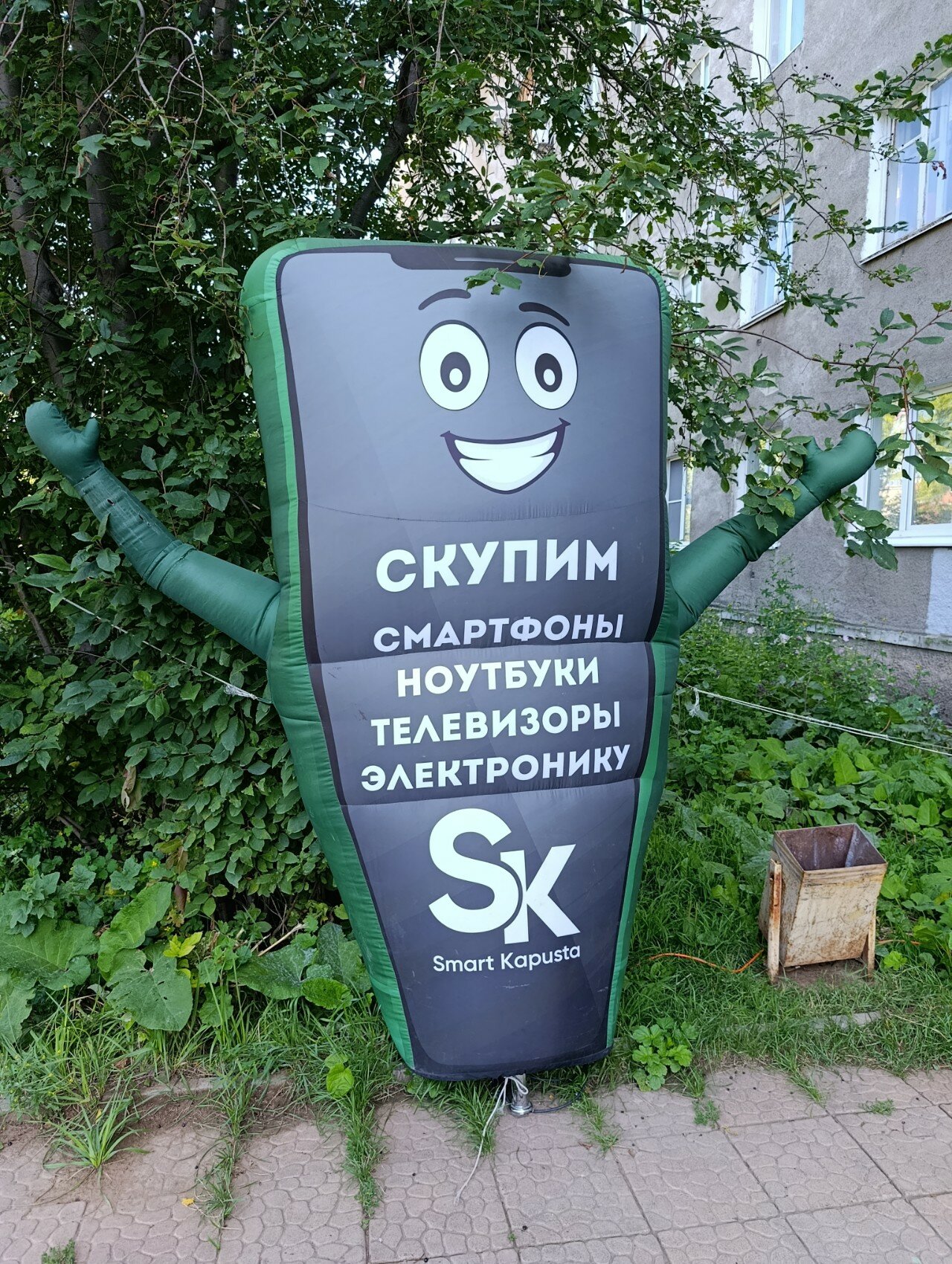 Smart Kapusta
