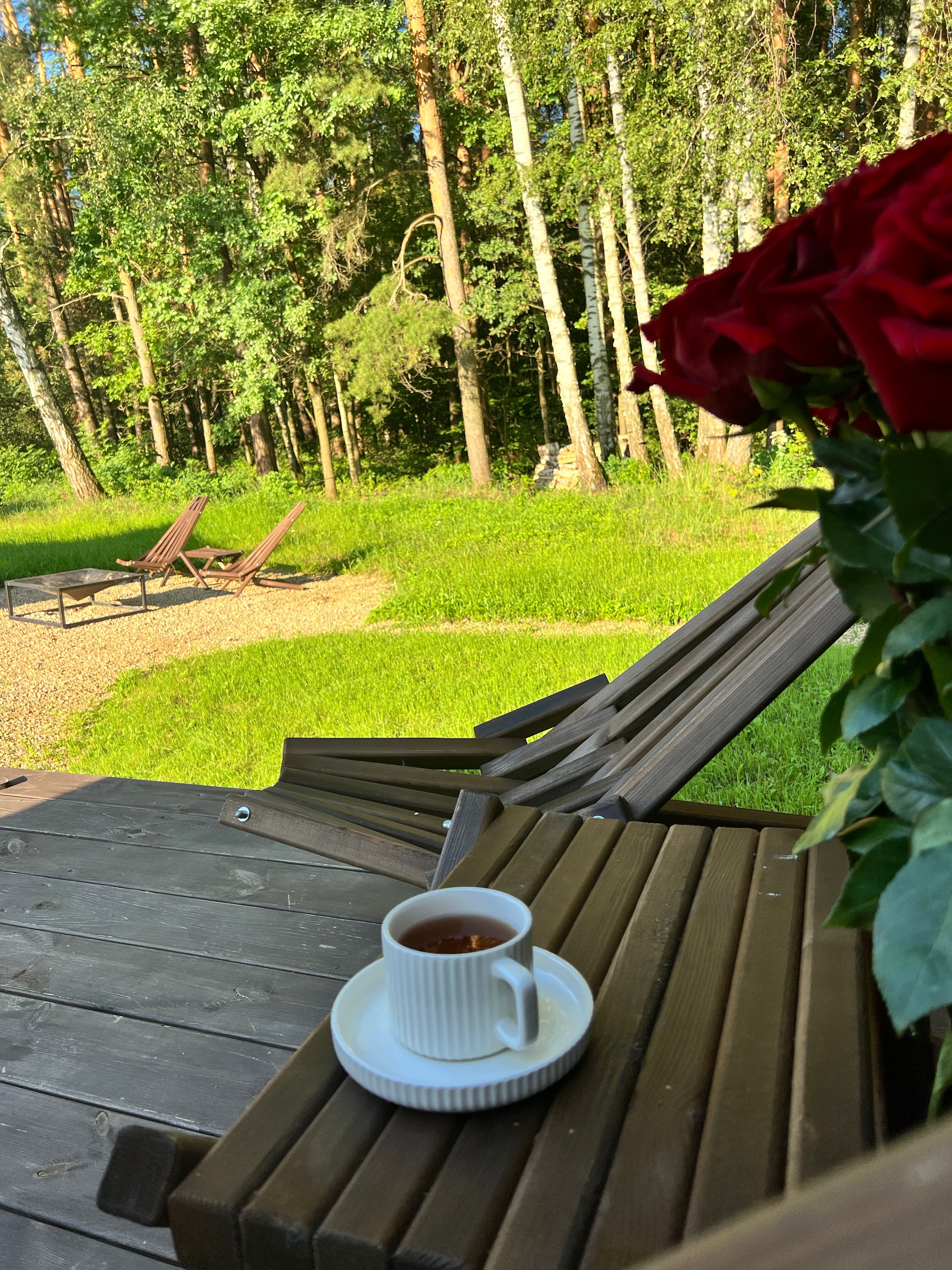 Фото Южный Бор