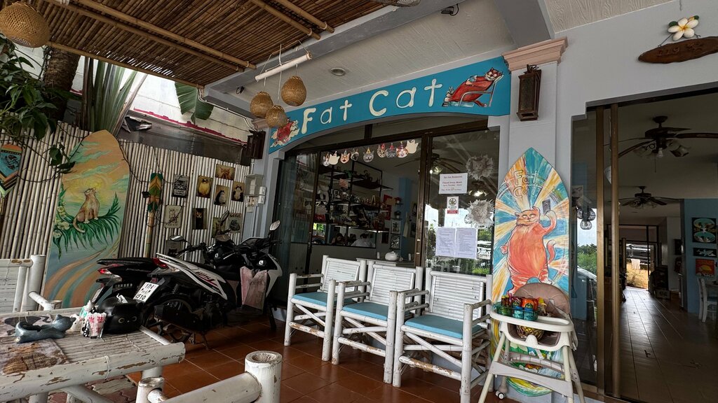 Cafe Fat Cat, Earth, photo
