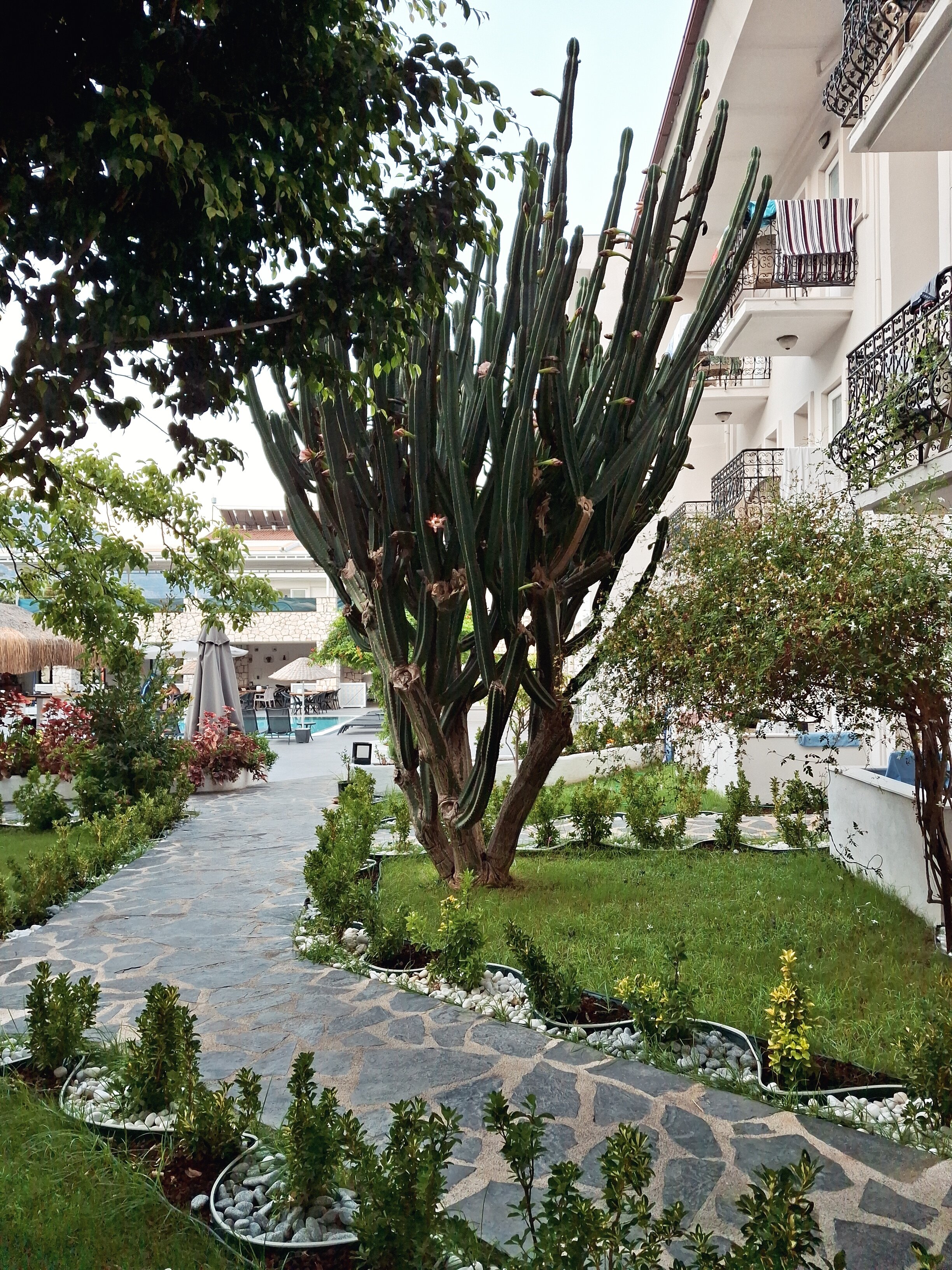 Фото Akdeniz Beach Hotel