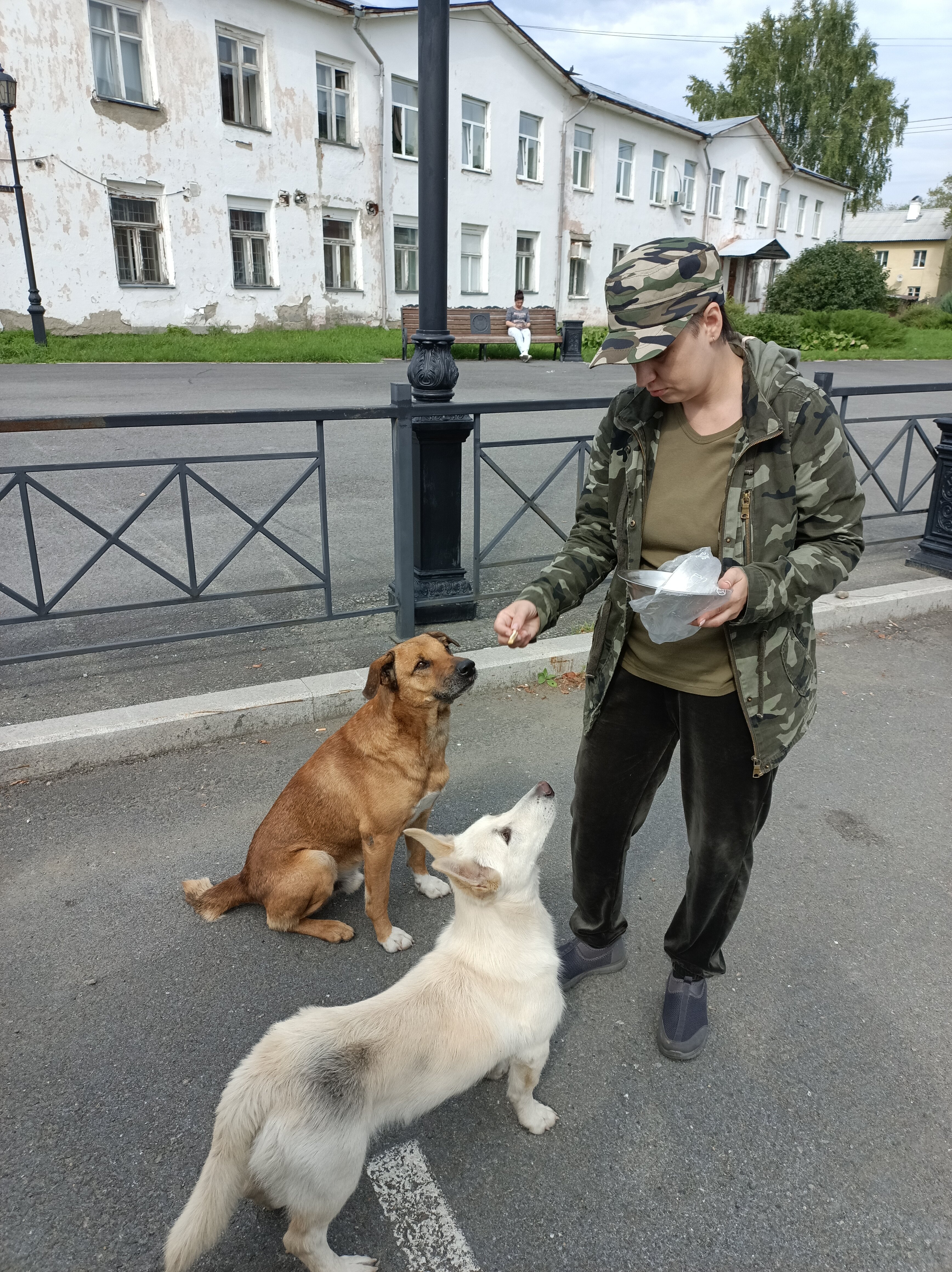 Фото Соболь