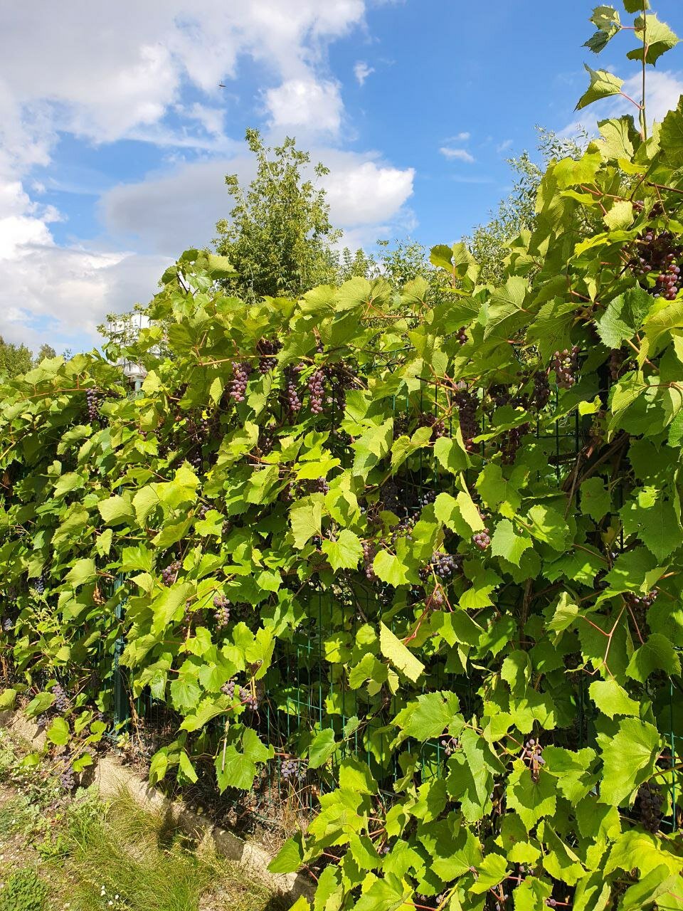 Фото Маруся