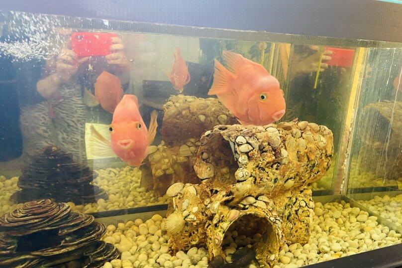 Фото Ksanta's House