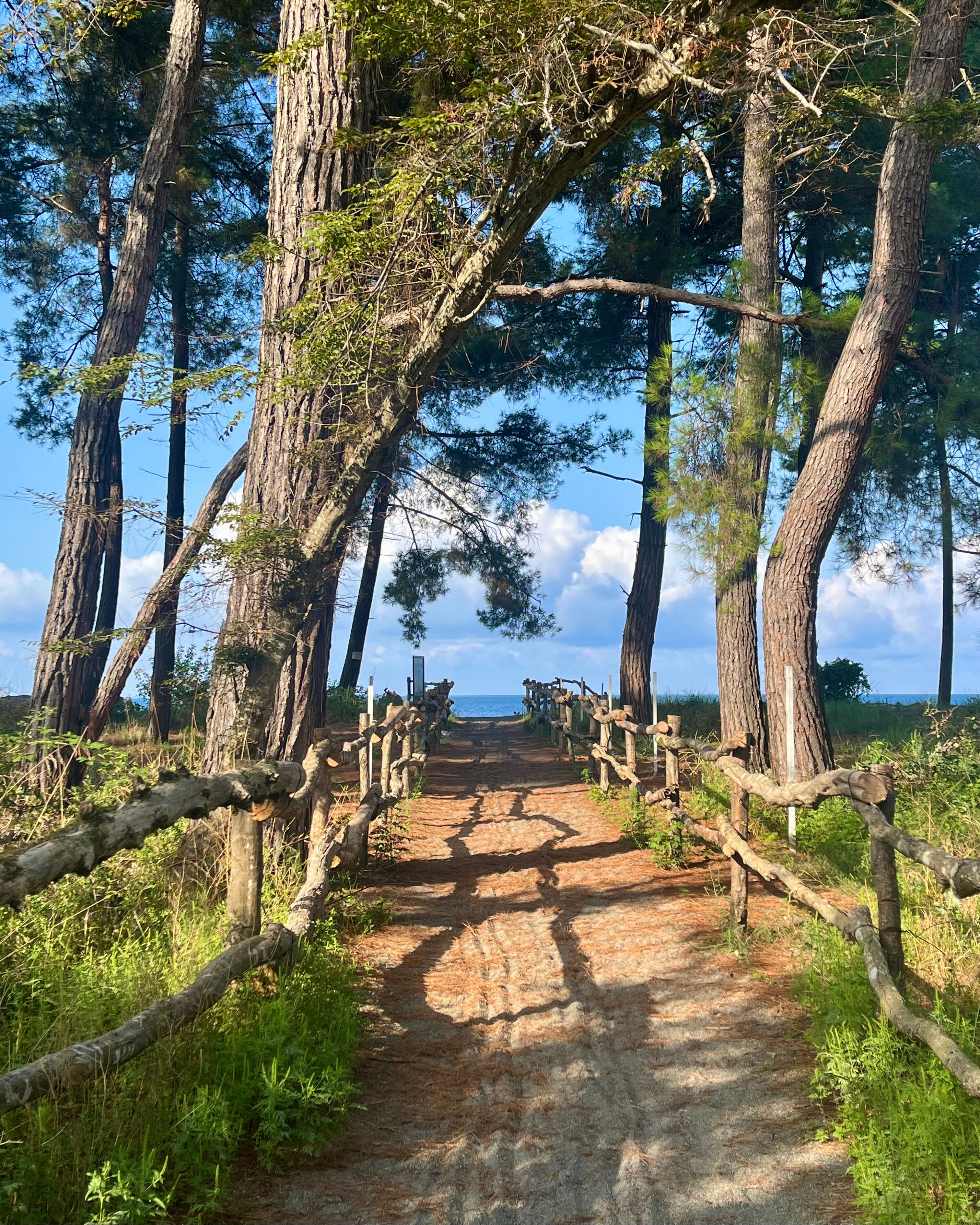 Фото 18755341514