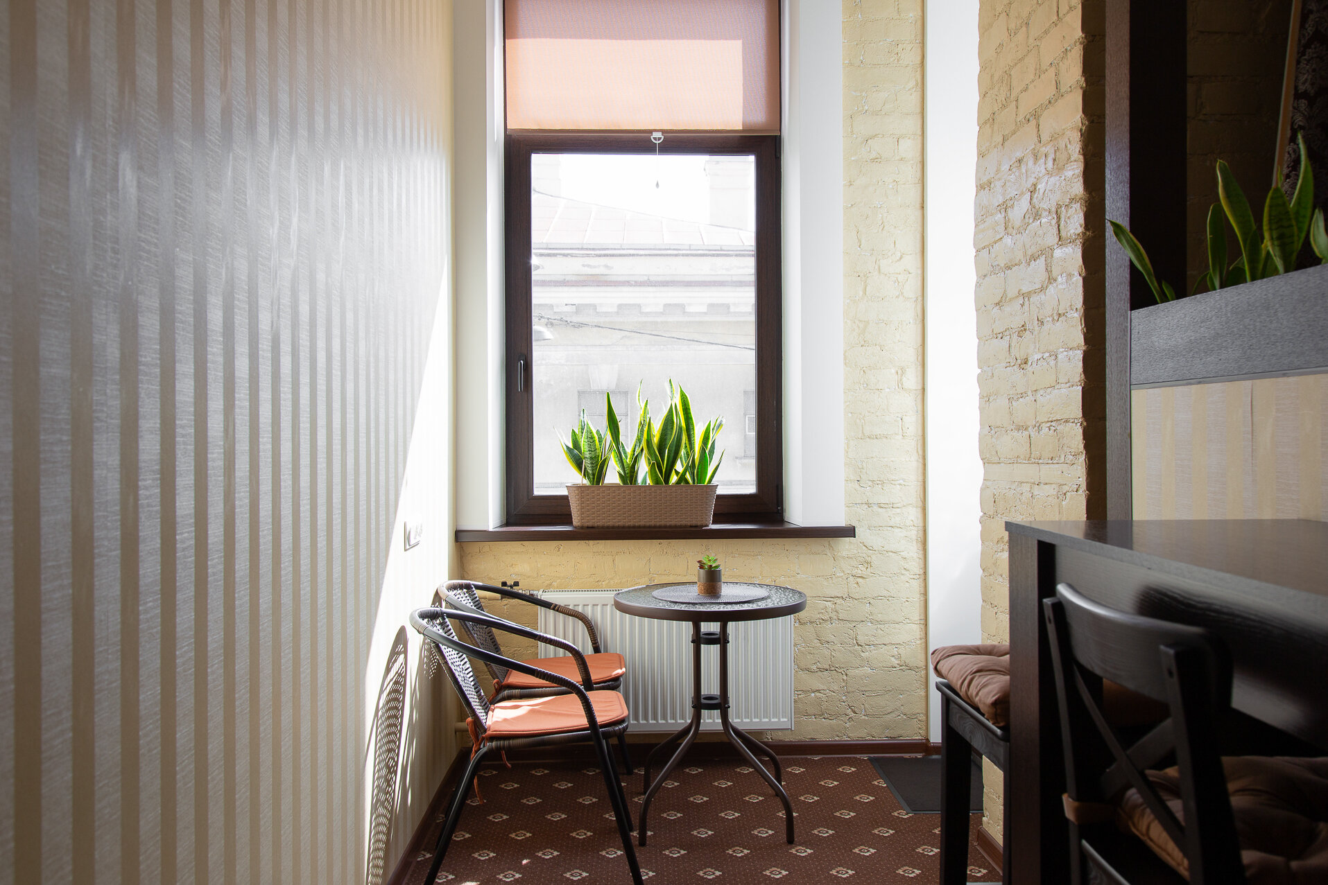 Фото My Favourite Garden