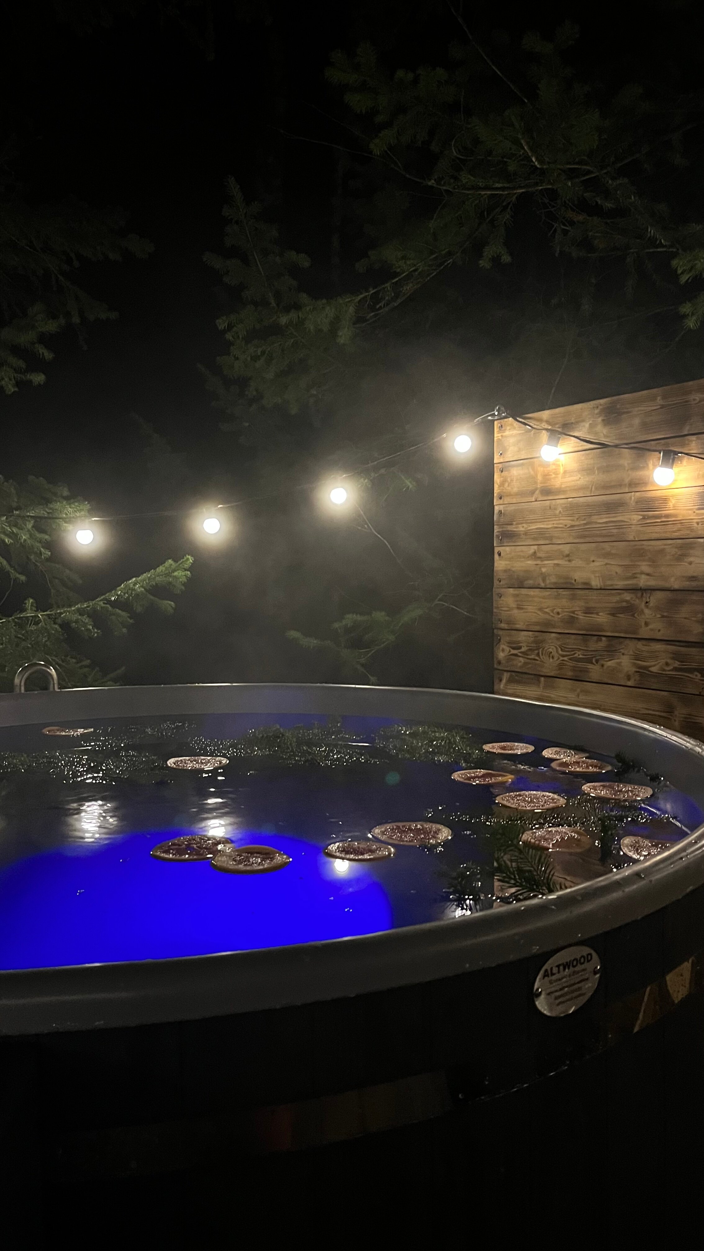 Фото Fox House Sheregesh