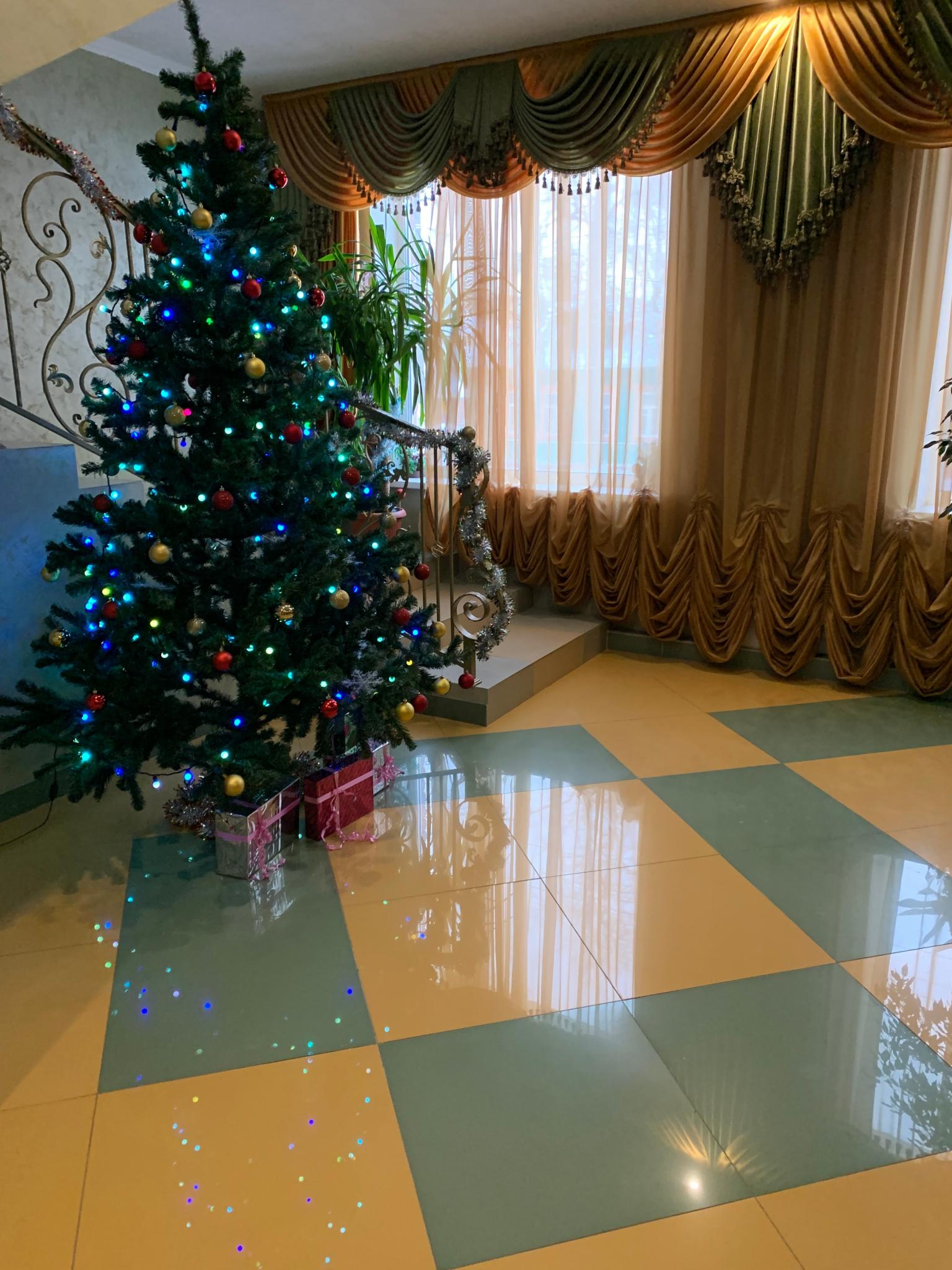 Фото Династия