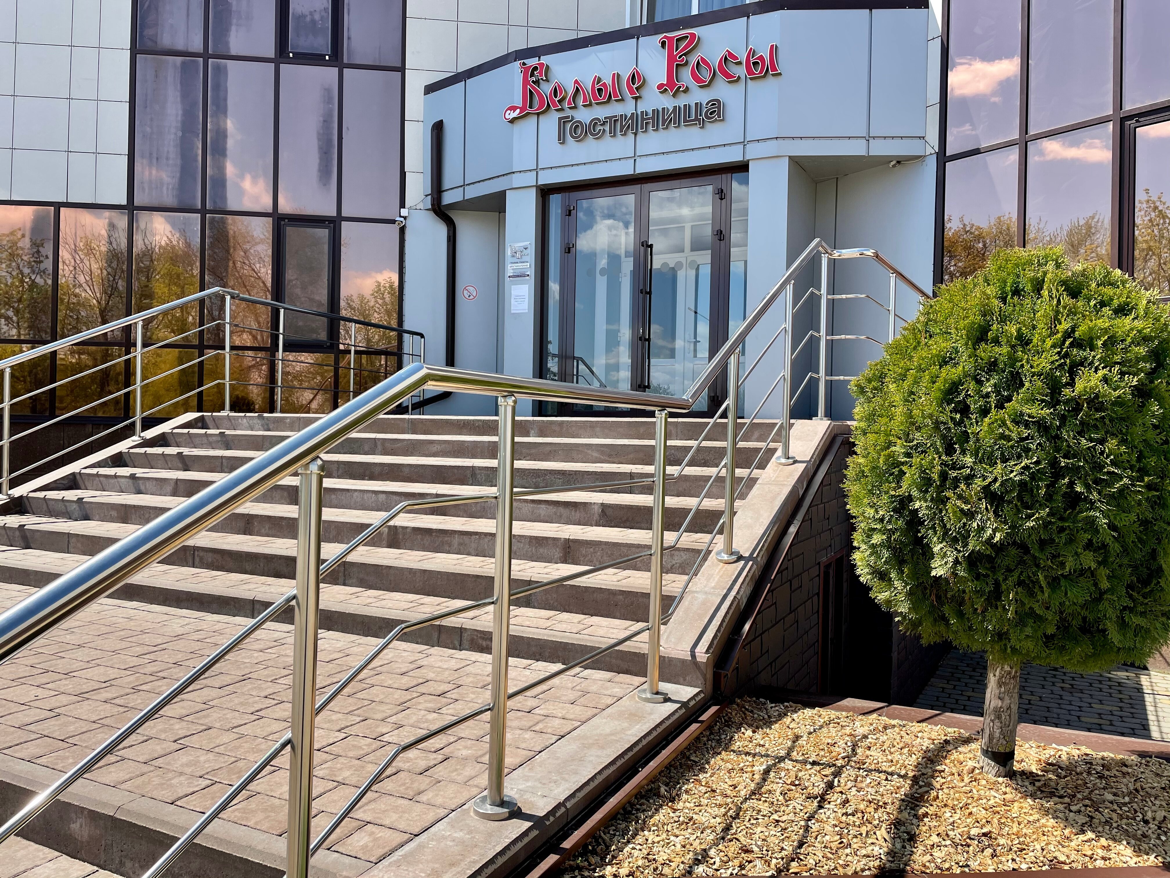 Фото Белые Росы