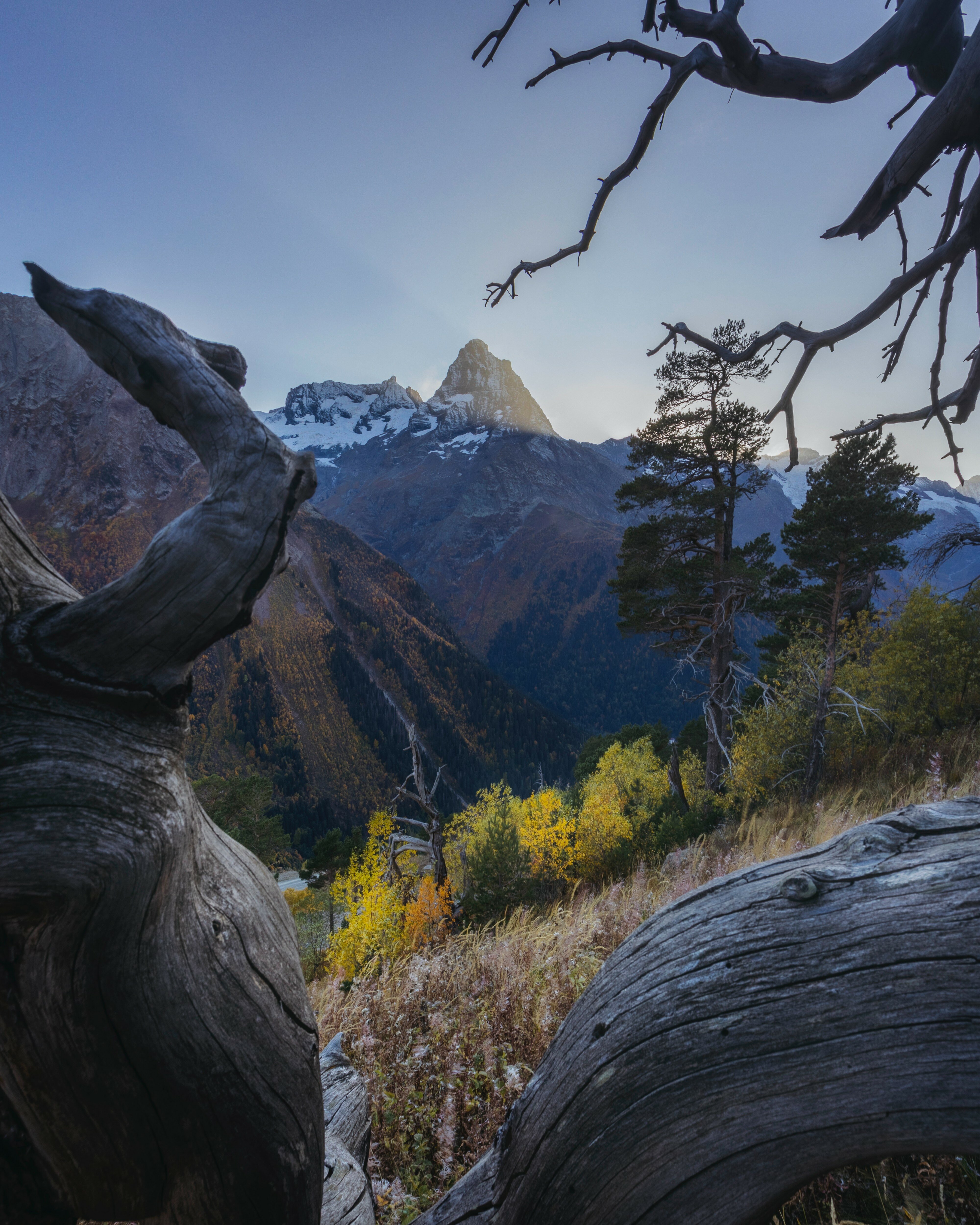 Фото Dombay Winter Hall