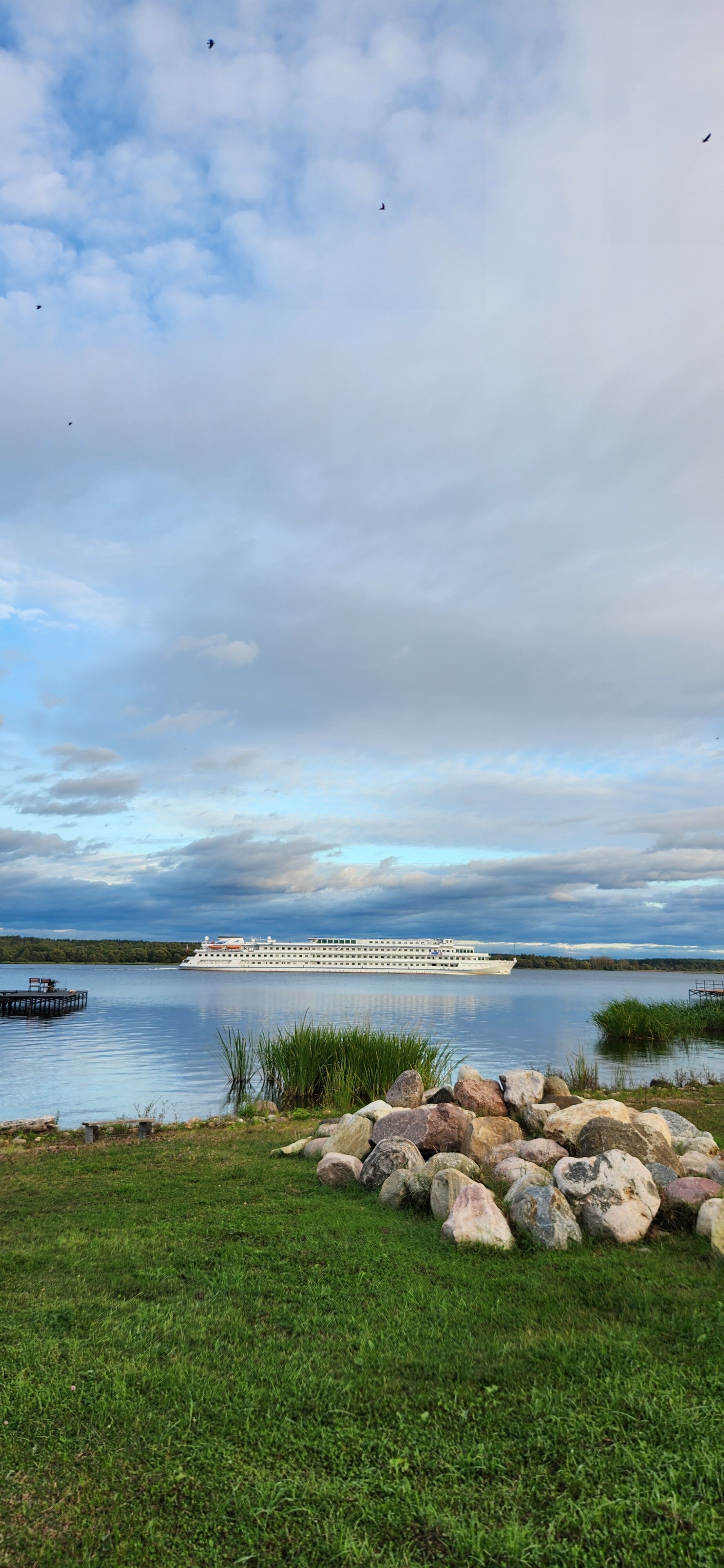 Фото Ёлки зелёные