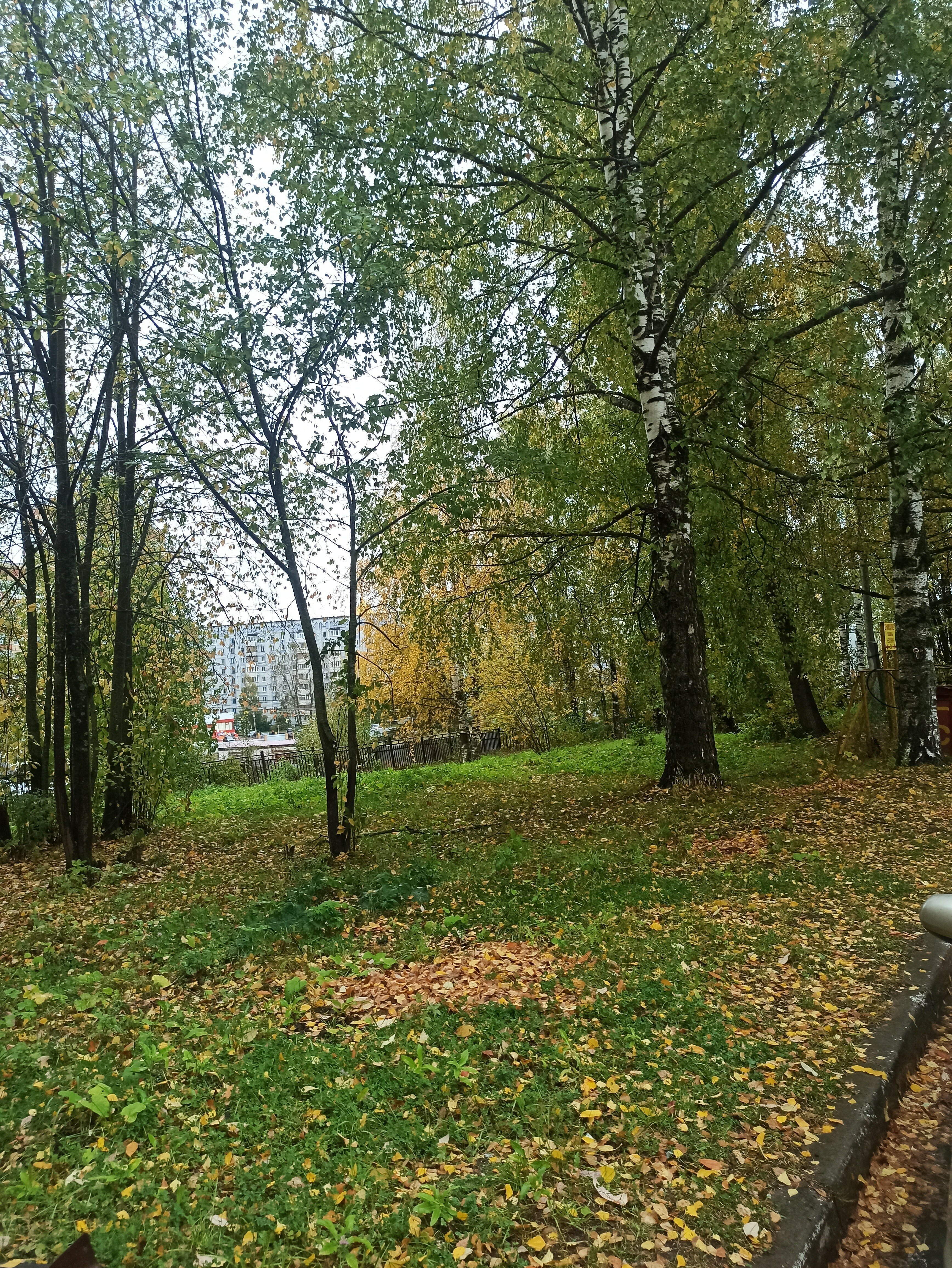 Фото Гермес