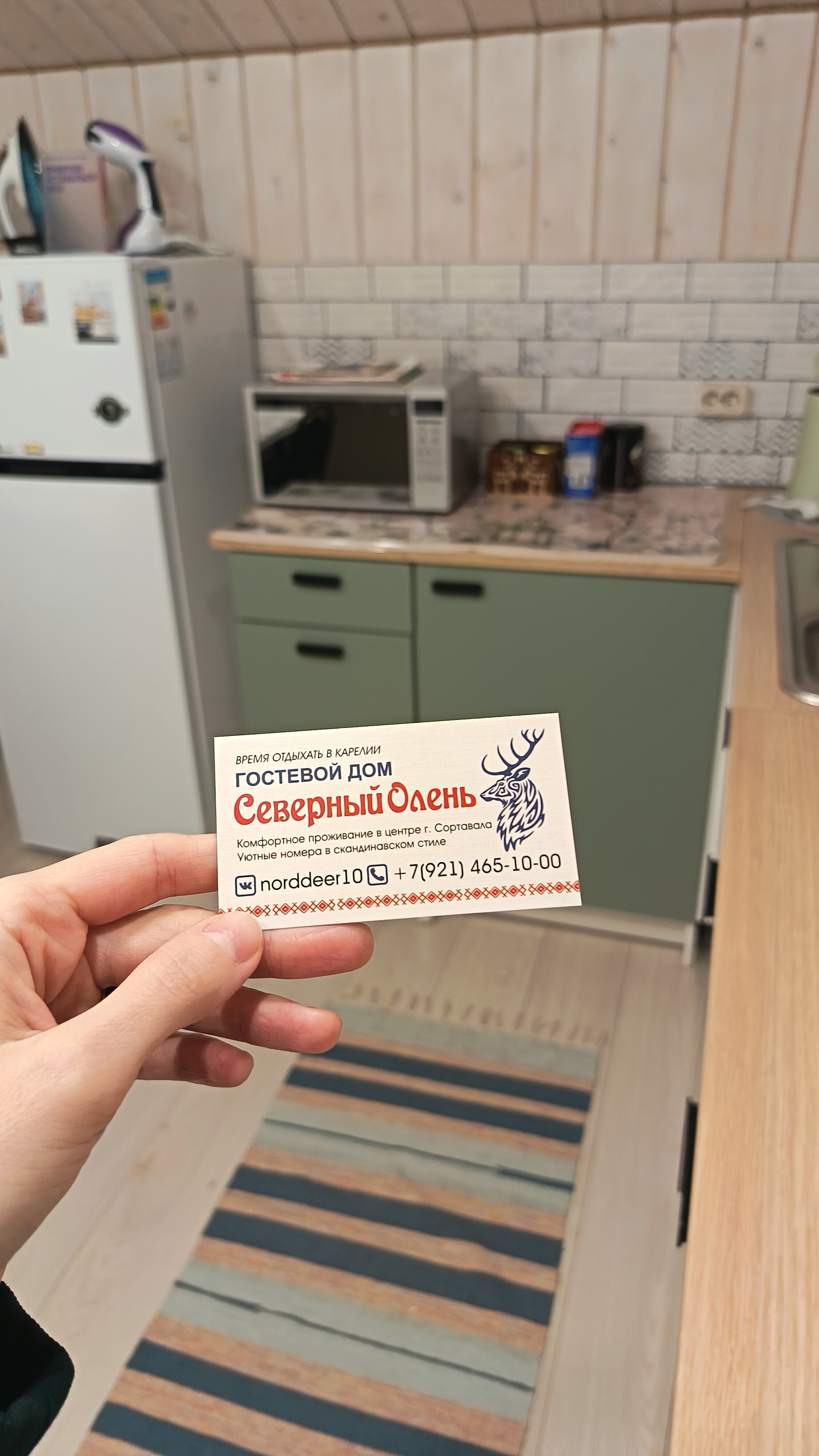 Фото Северный олень