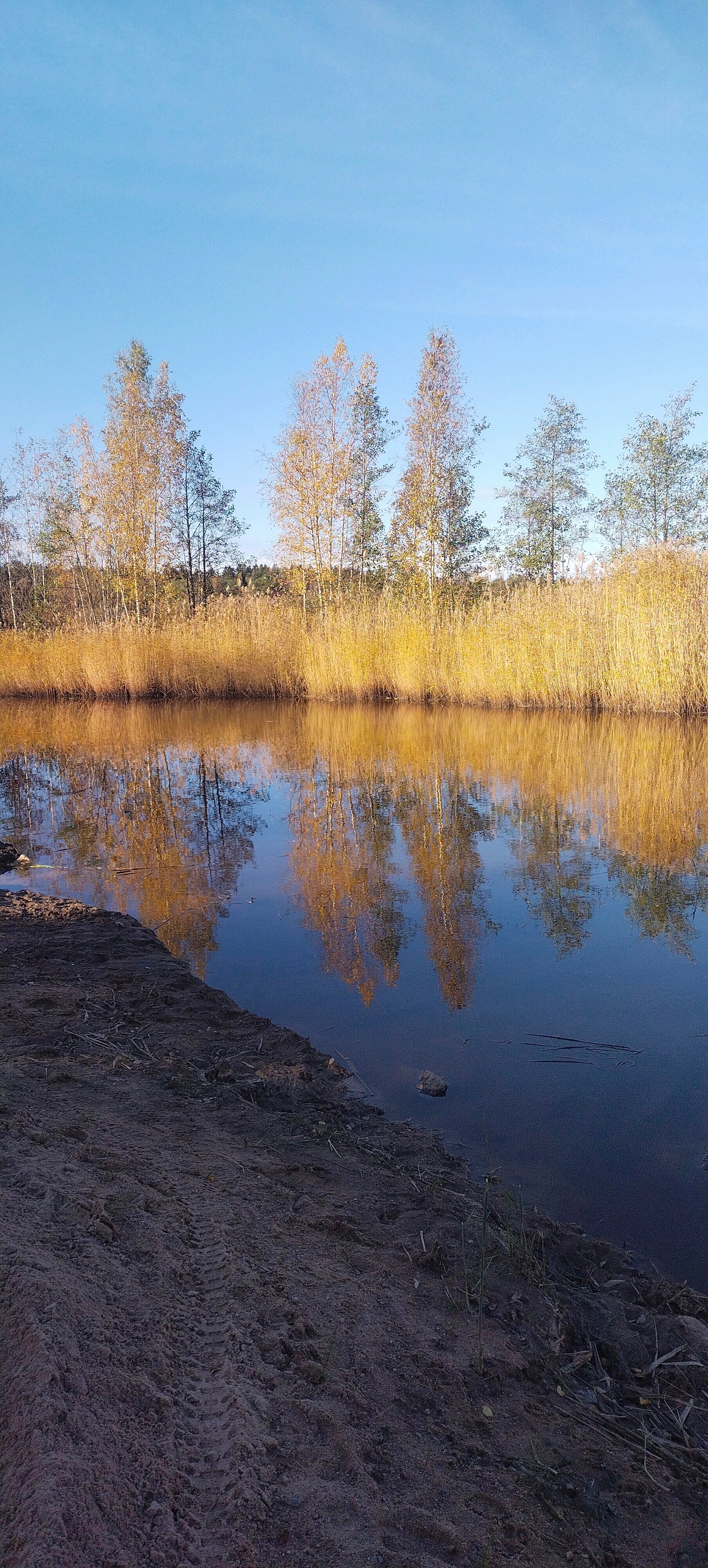 Фото Усадьба Лебяжье