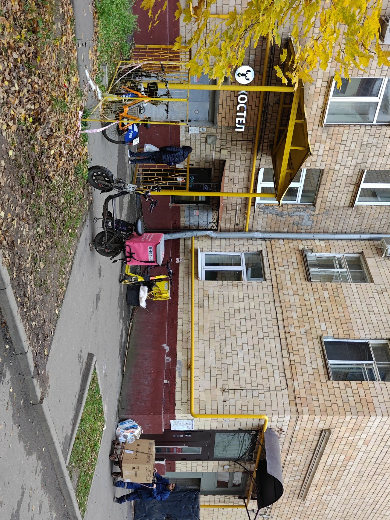 Фото Вежливый лось