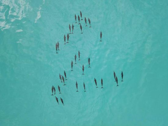 Фото Fiyavalhu Resort Maldives