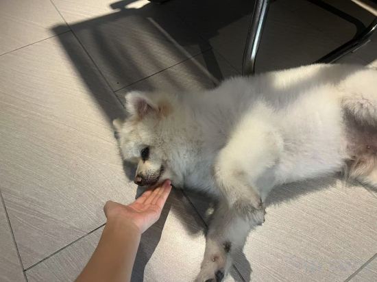 Фото Lavande Hotel Shenzhen International Convention and Exhibition Center