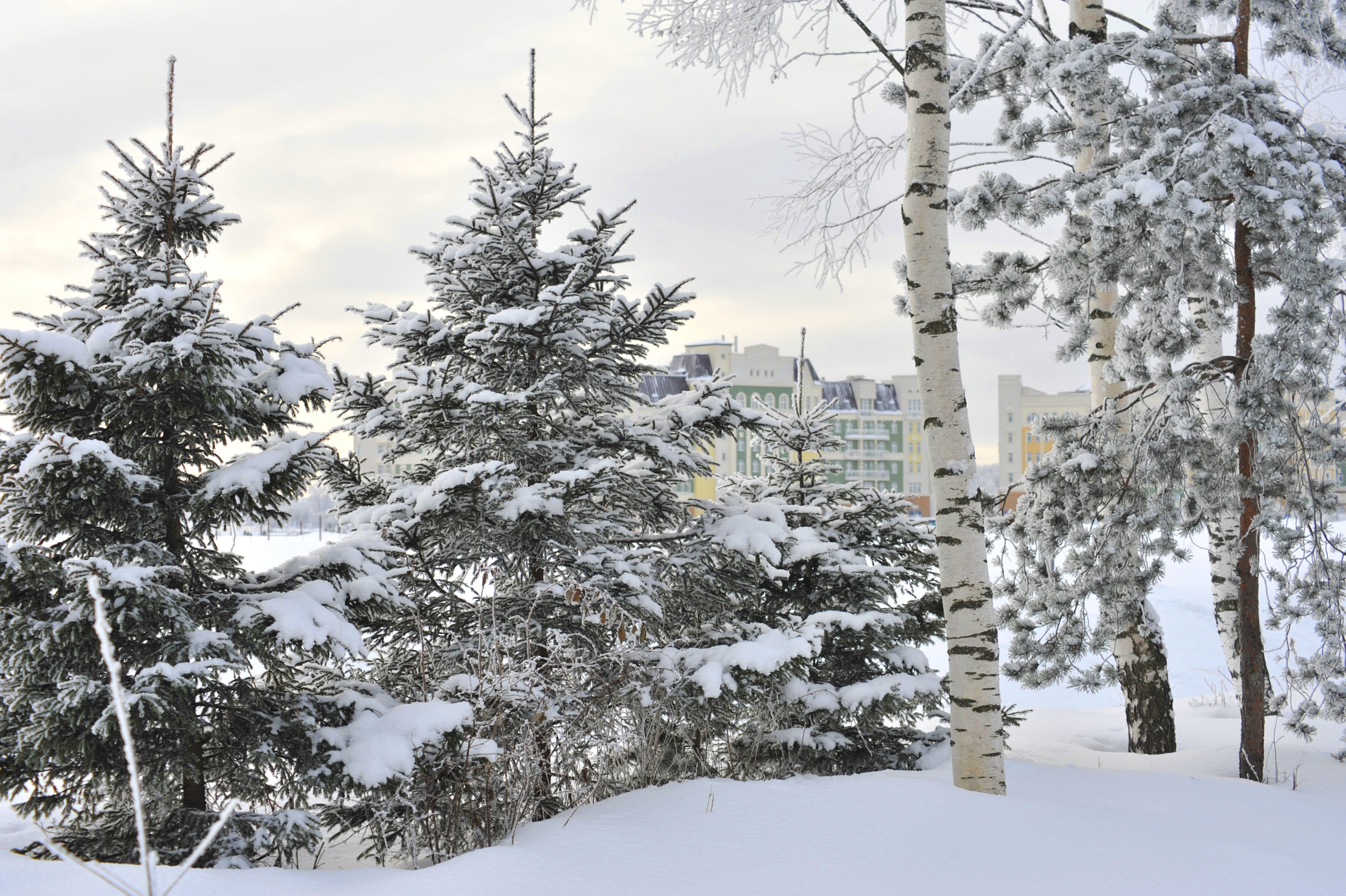 Фото Апартаменты Radisson, Завидово