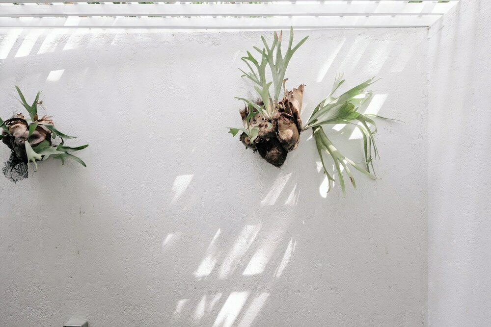 Фото Lloyd's Inn