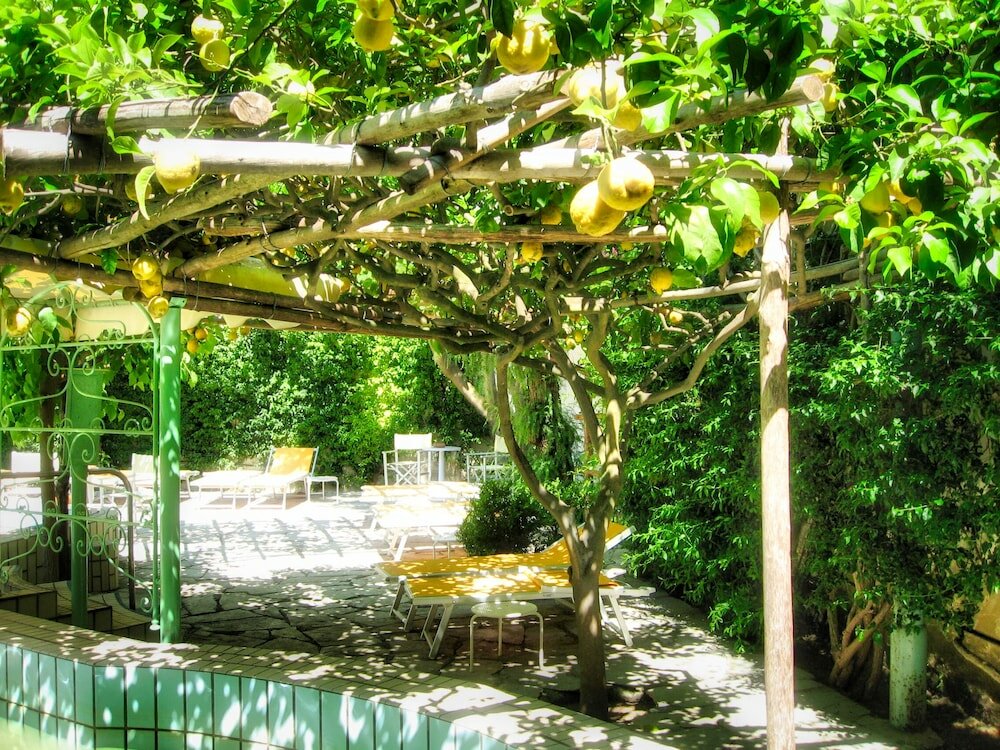 Фото Hotel Villa Ciccio