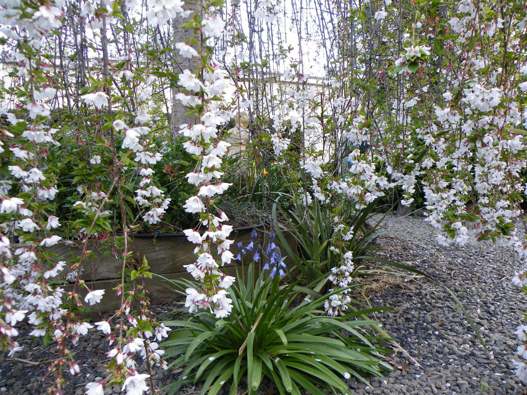 Фото Lake Hamilton Motor Village & Caravan Park