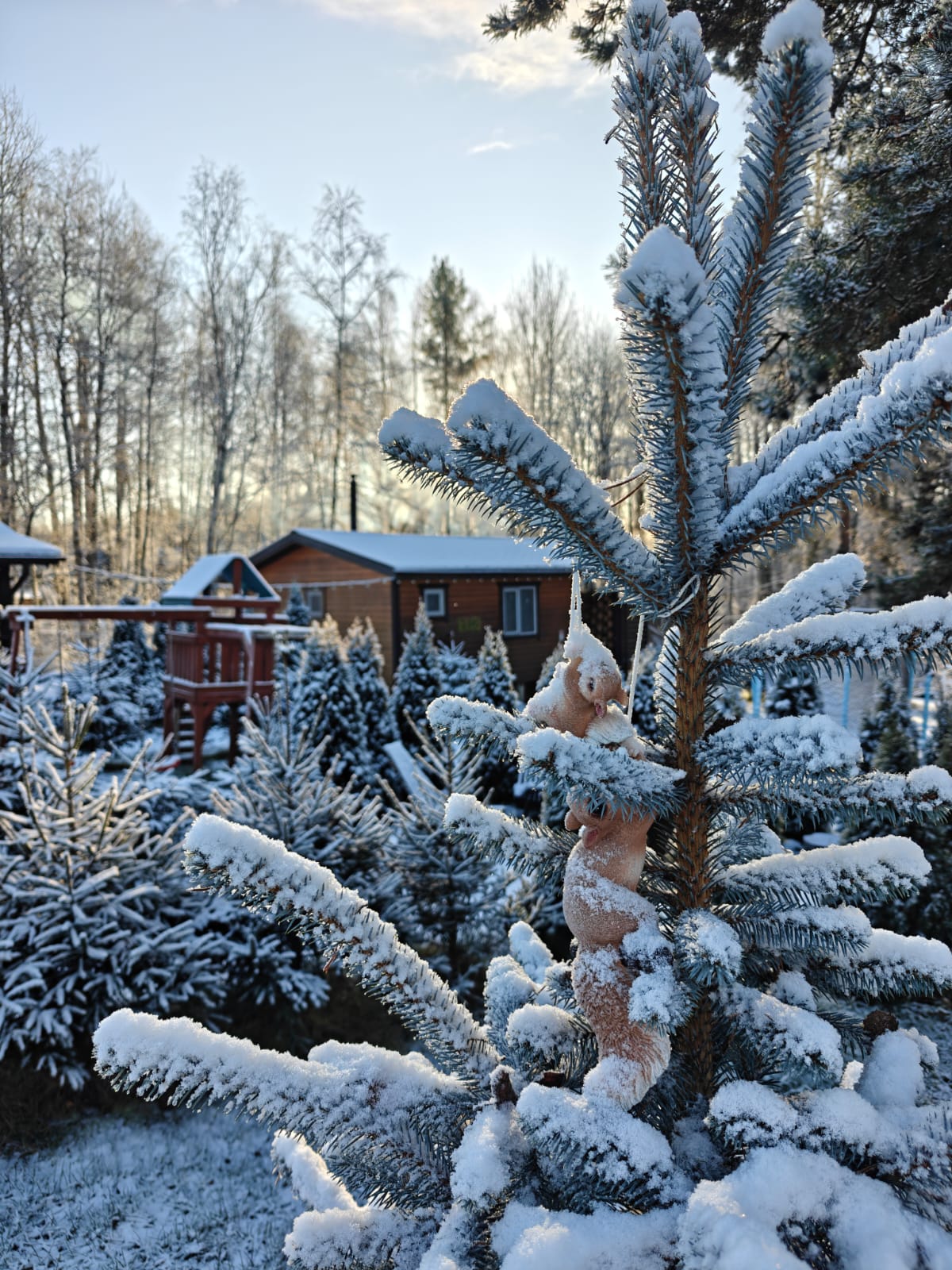 Фото Рай в шалаше