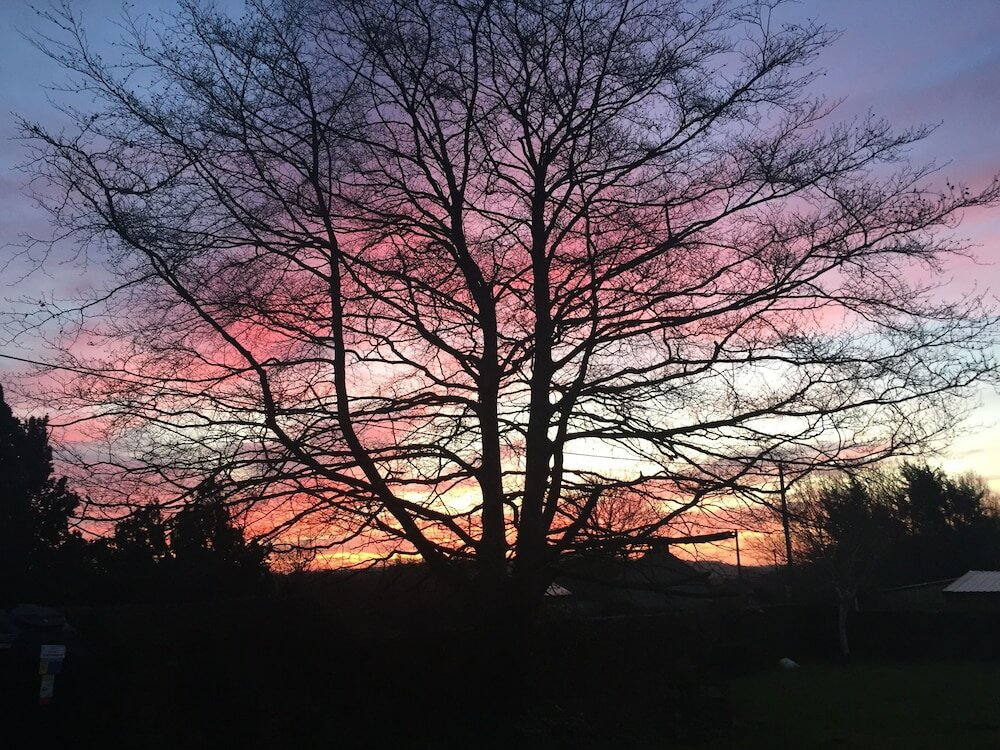 Фото The Lighthouse