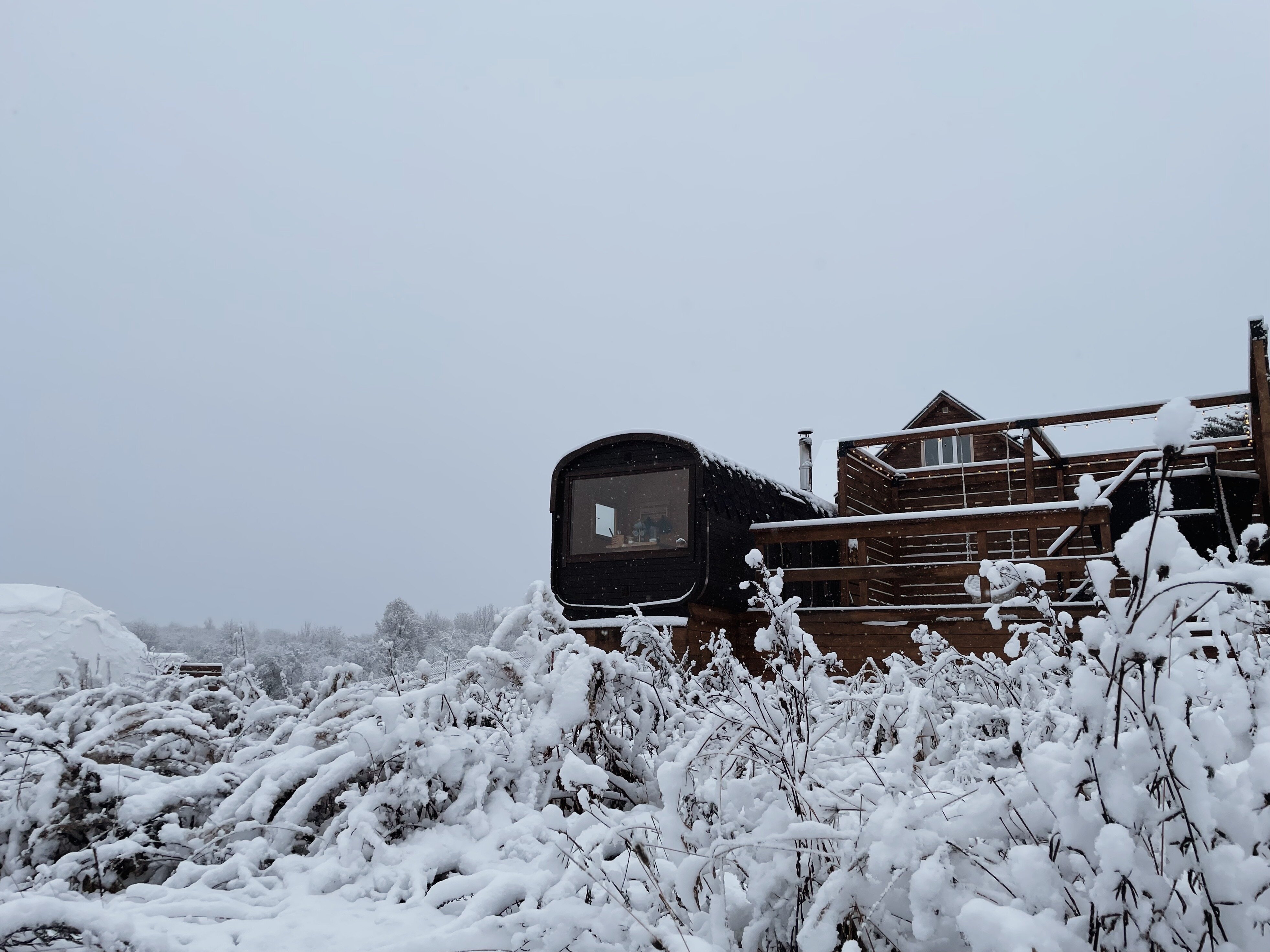 Фото Дом Лемура